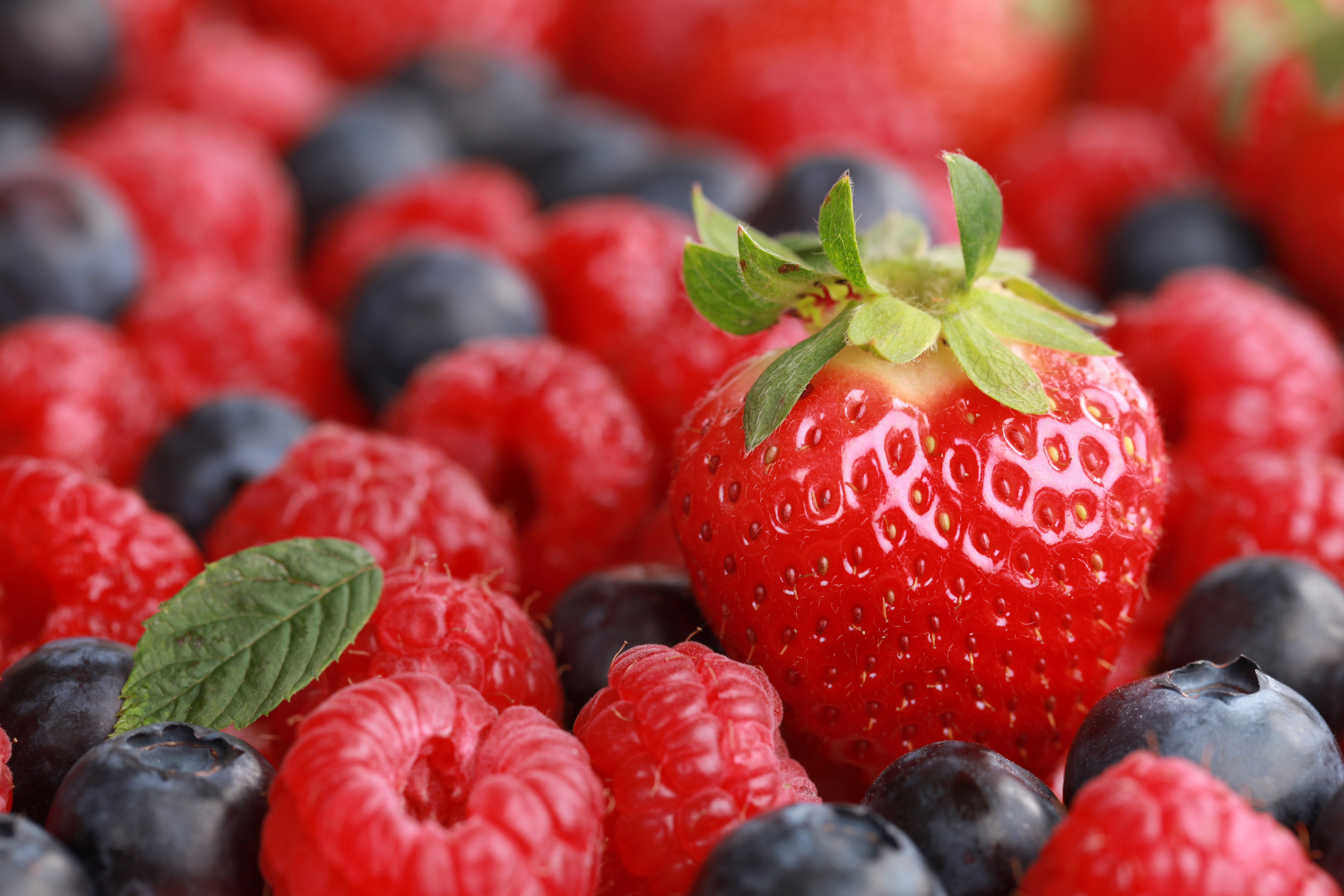 Free download wallpaper Food, Strawberry, Blueberry, Raspberry, Berry, Fruit on your PC desktop