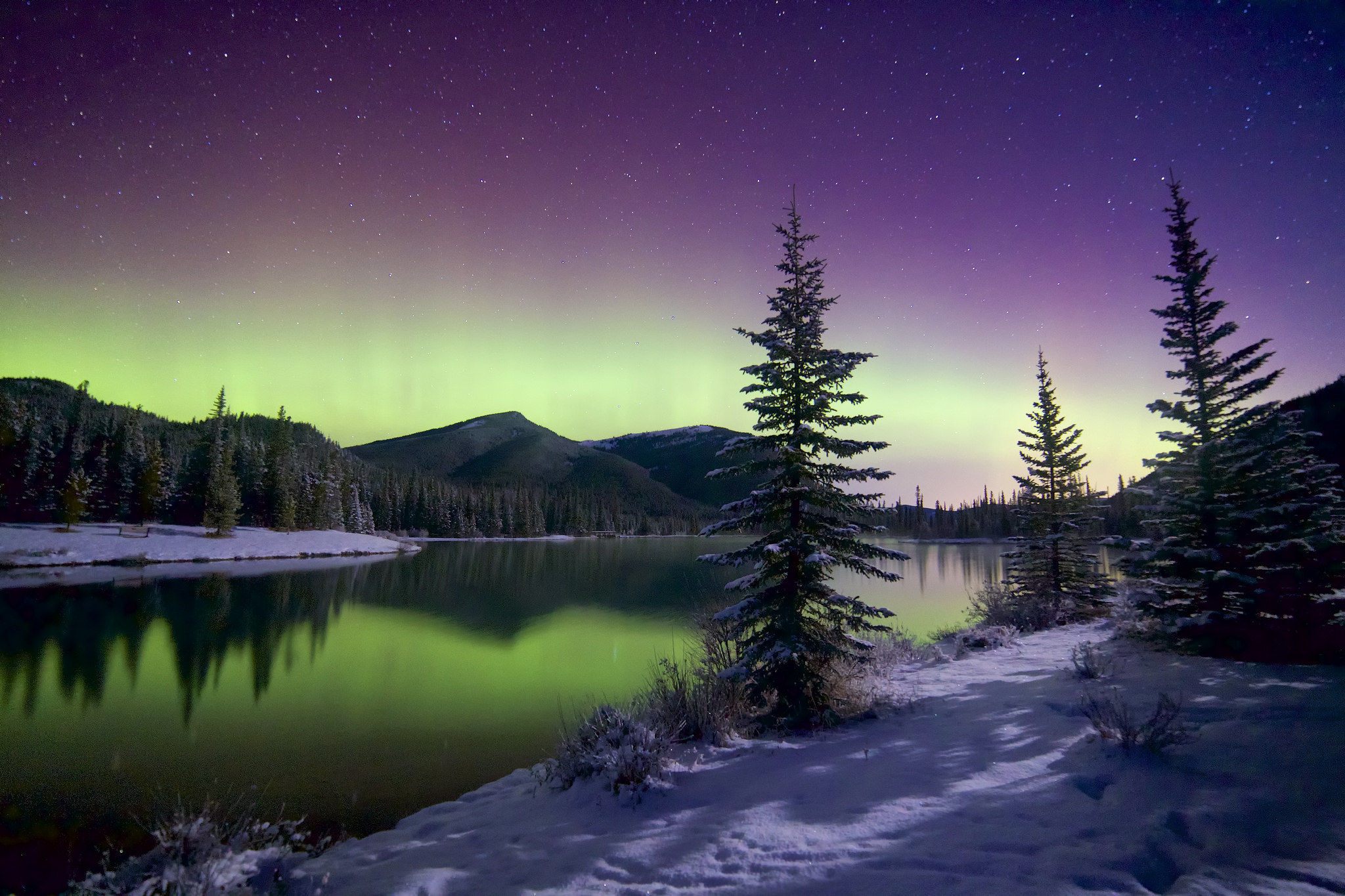 Laden Sie das Winter, Sterne, Schnee, Wald, Baum, Gebirge, Himmel, Erde/natur, Spiegelung, Nordlicht-Bild kostenlos auf Ihren PC-Desktop herunter