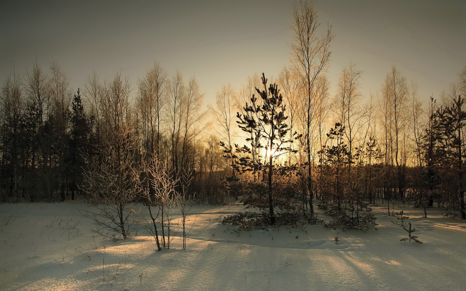 Laden Sie das Winter, Erde/natur-Bild kostenlos auf Ihren PC-Desktop herunter