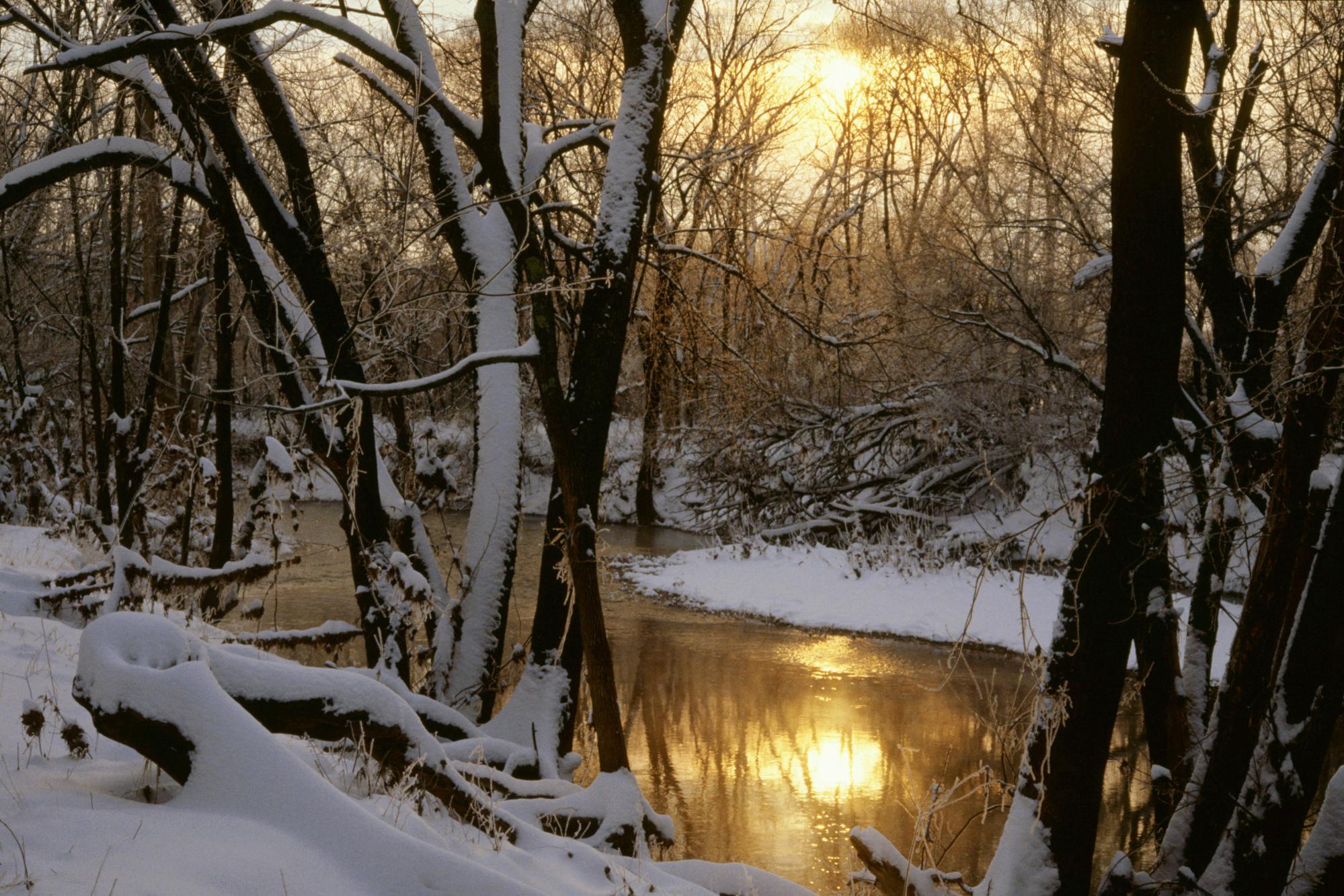 Téléchargez gratuitement l'image Hiver, Terre/nature sur le bureau de votre PC