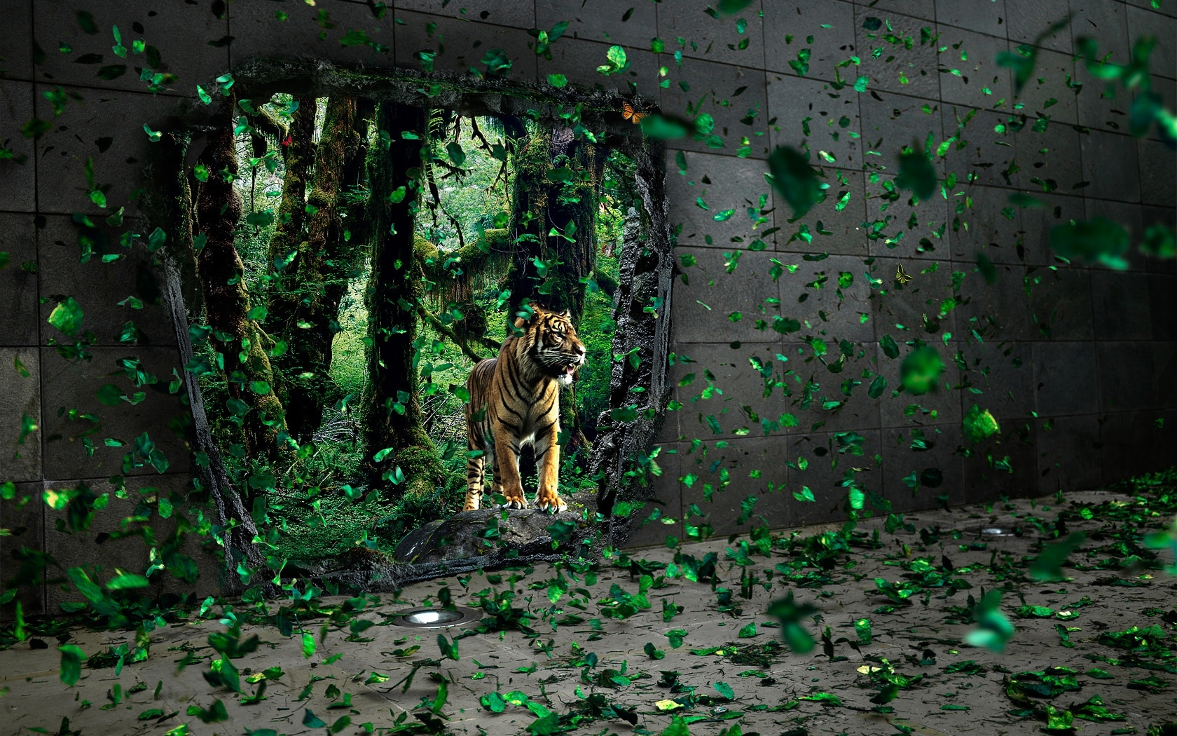 tigers, art photo, animals