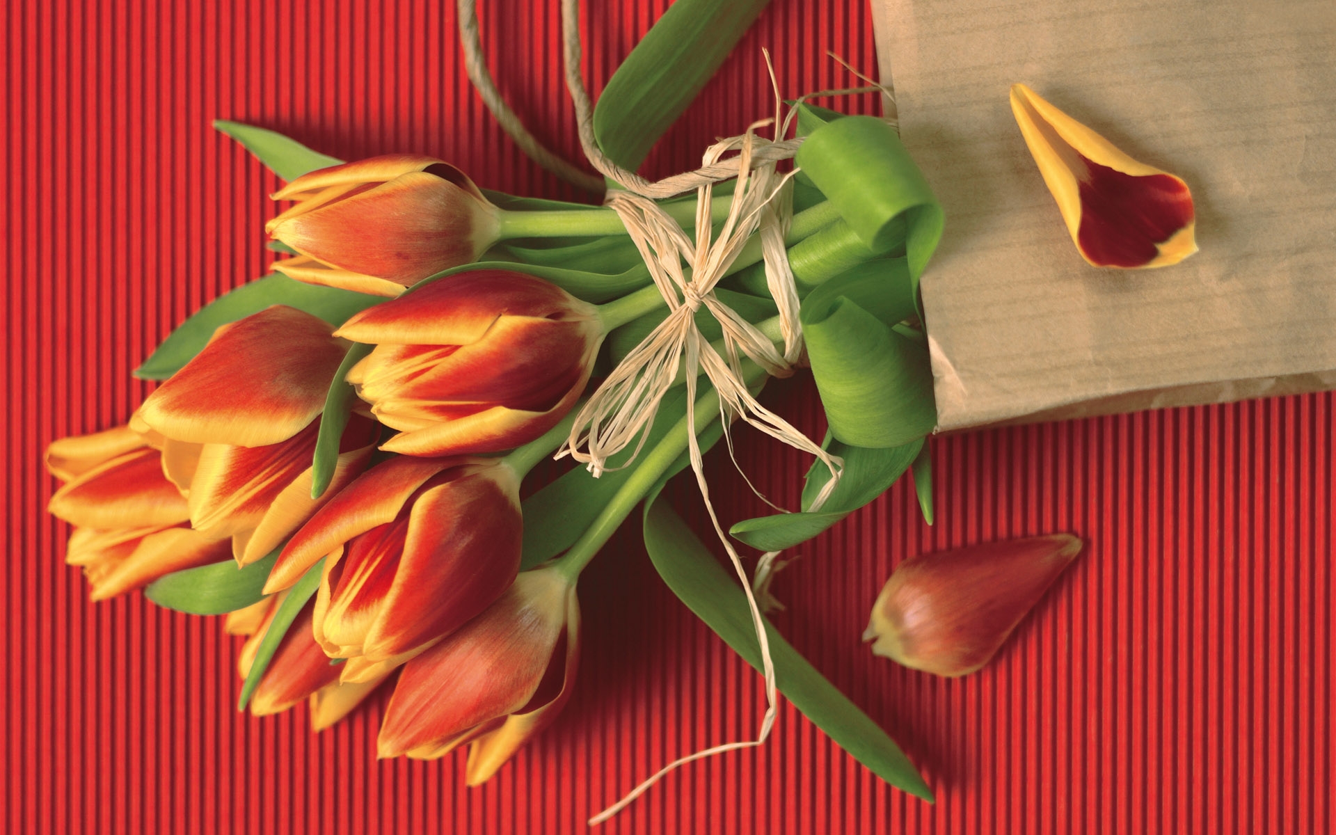 Скачать обои бесплатно Букеты, Цветы, Растения, Тюльпаны картинка на рабочий стол ПК