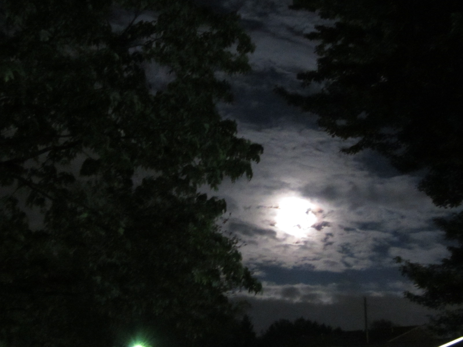Скачать обои бесплатно Ночь, Облака, Луна, Дерево, Земля/природа картинка на рабочий стол ПК
