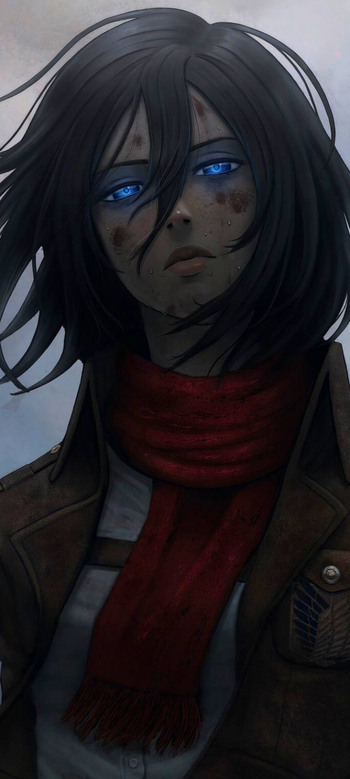 Handy-Wallpaper Blaue Augen, Animes, Schwarzes Haar, Mikasa Ackermann, Attack On Titan kostenlos herunterladen.