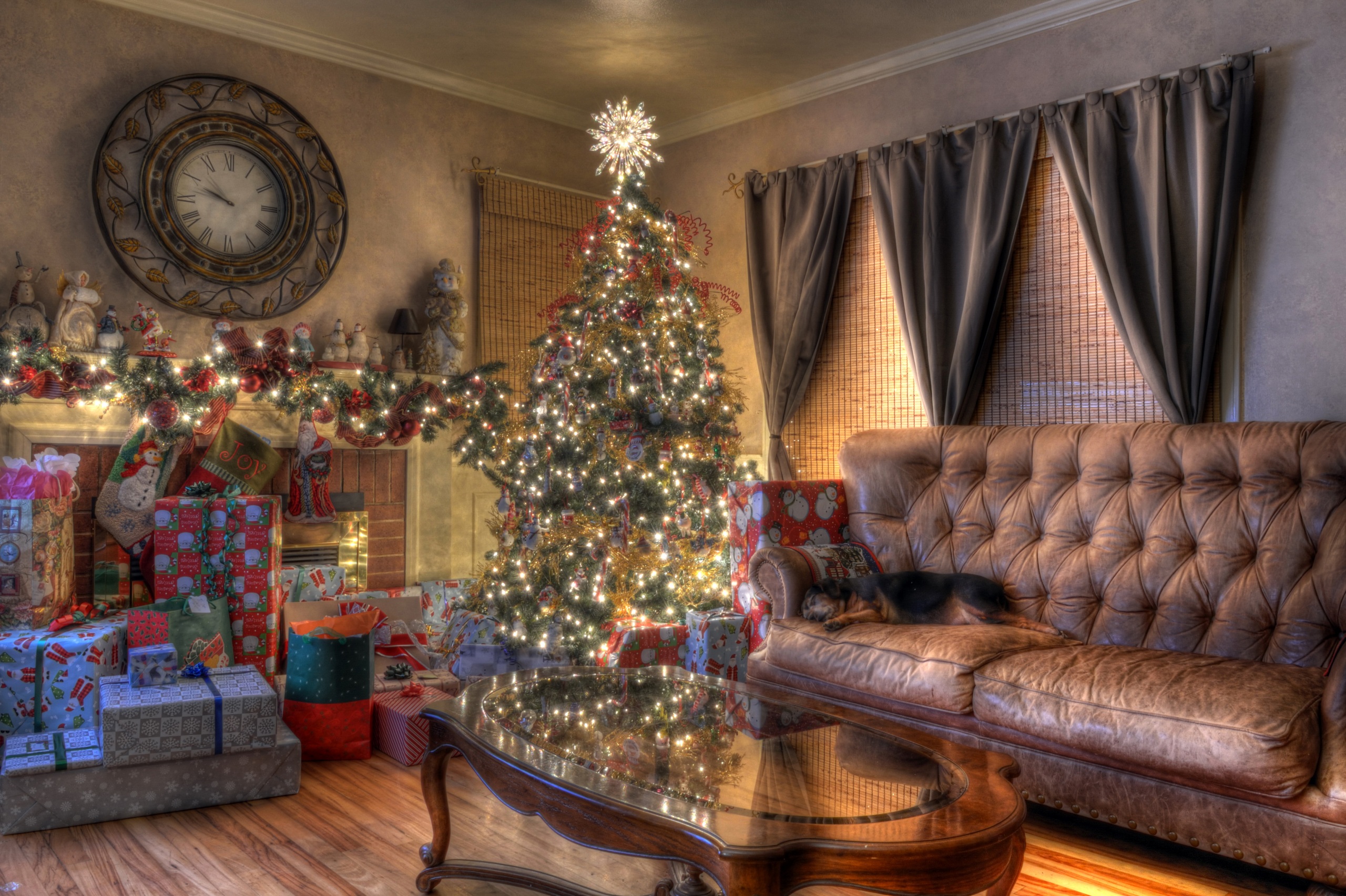 Baixar papel de parede para celular de Natal, Cão, Árvore De Natal, Enfeites De Natal, Feriados, Gad, Luzes De Natal gratuito.