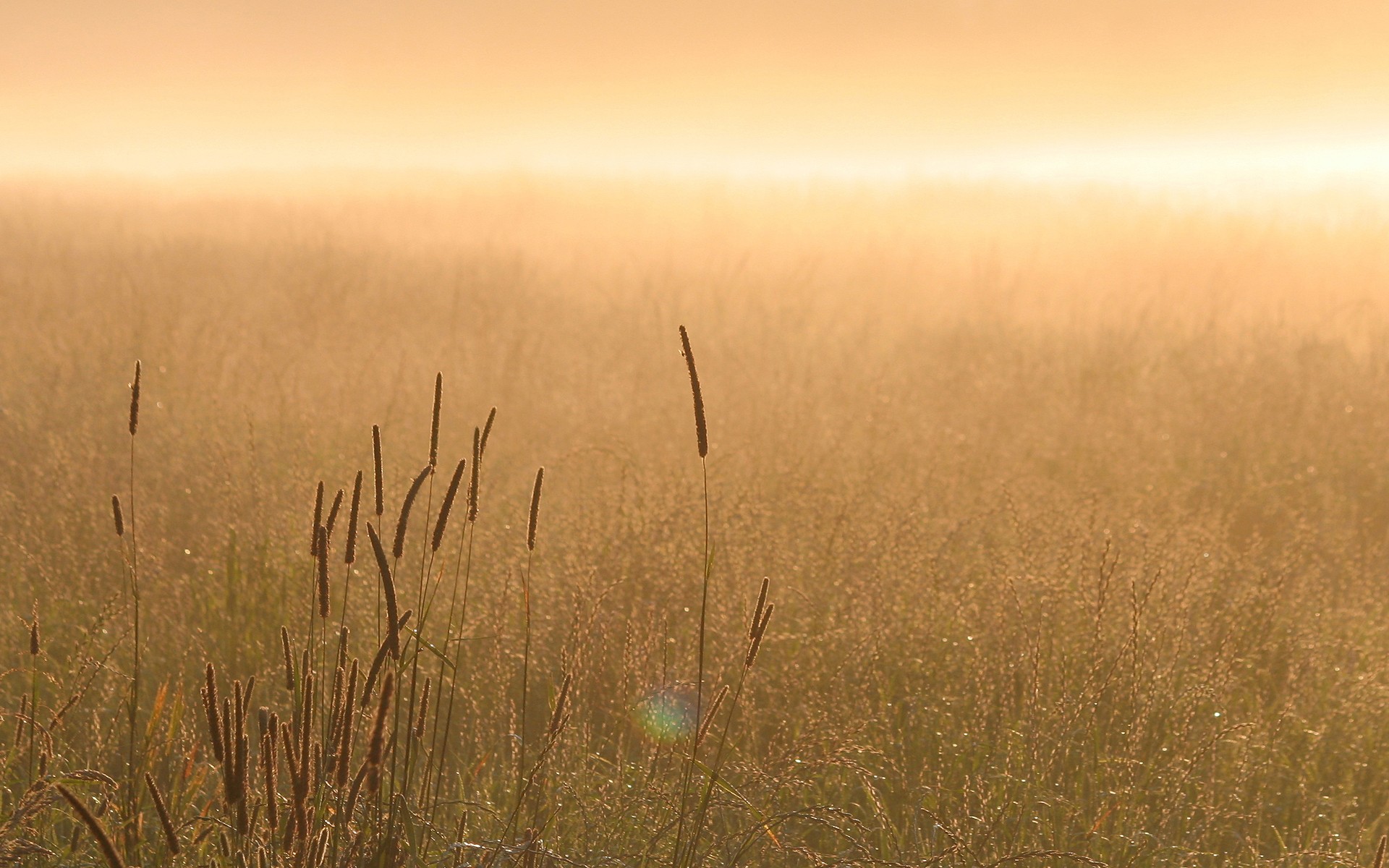 Descarga gratis la imagen Campo, Tierra/naturaleza en el escritorio de tu PC