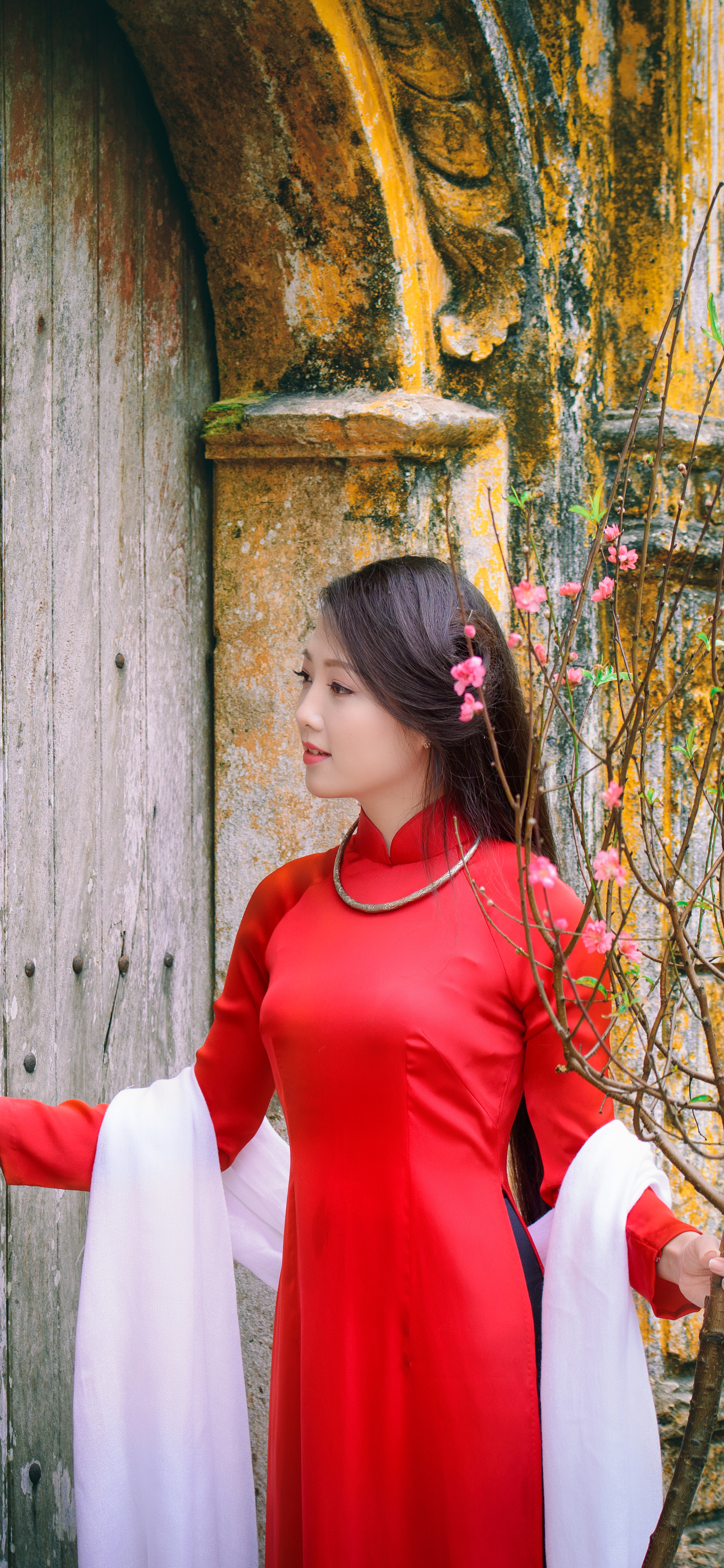Téléchargez des papiers peints mobile Asiatique, Femmes, Vietnamien, Ao Daï gratuitement.