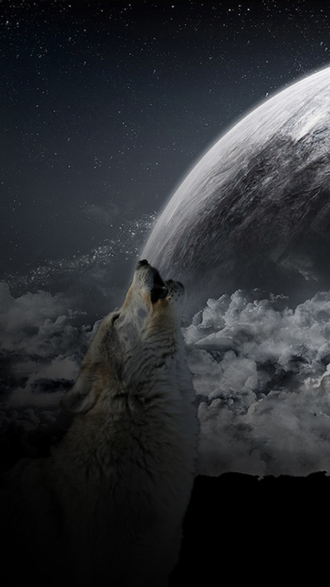 無料モバイル壁紙動物, オオカミ, 狼, ハウリングをダウンロードします。