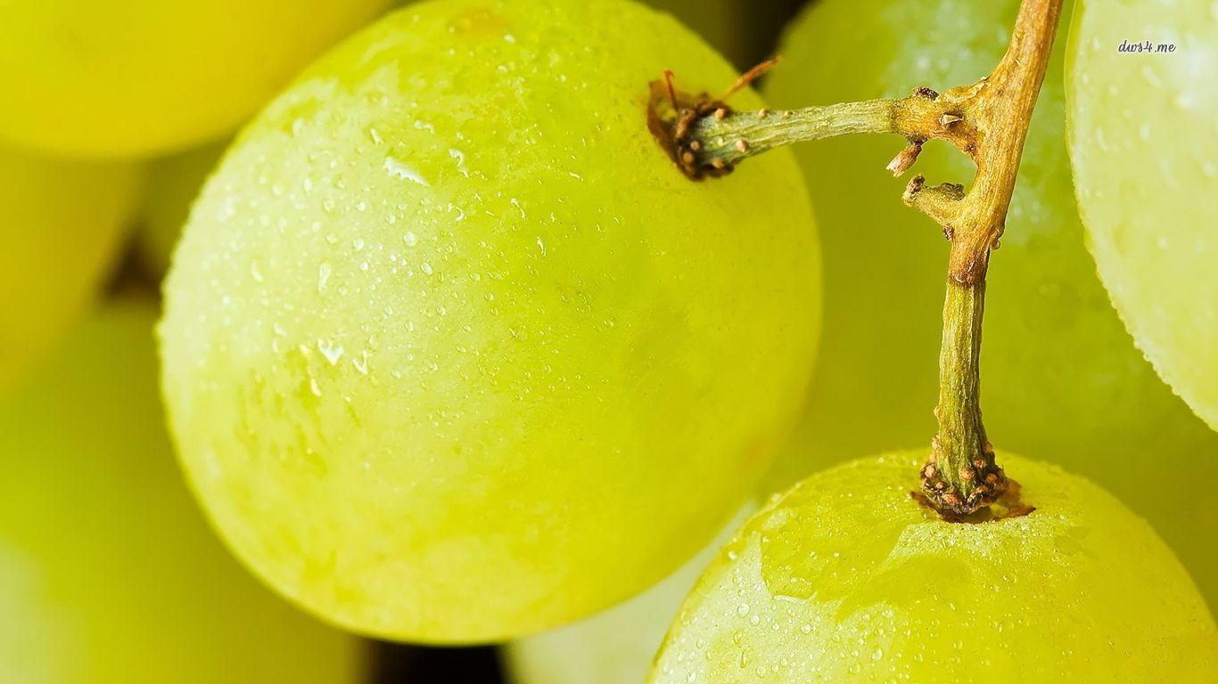 Free Images  Grapes