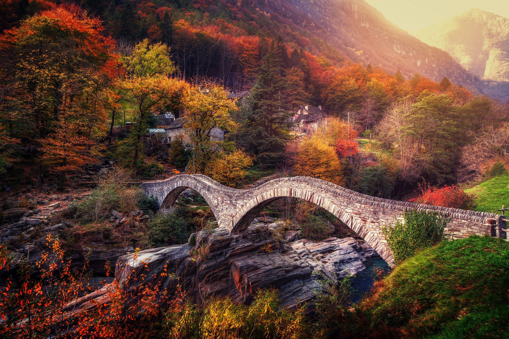 Laden Sie das Natur, Herbst, Wald, Brücke, Brücken, Menschengemacht-Bild kostenlos auf Ihren PC-Desktop herunter