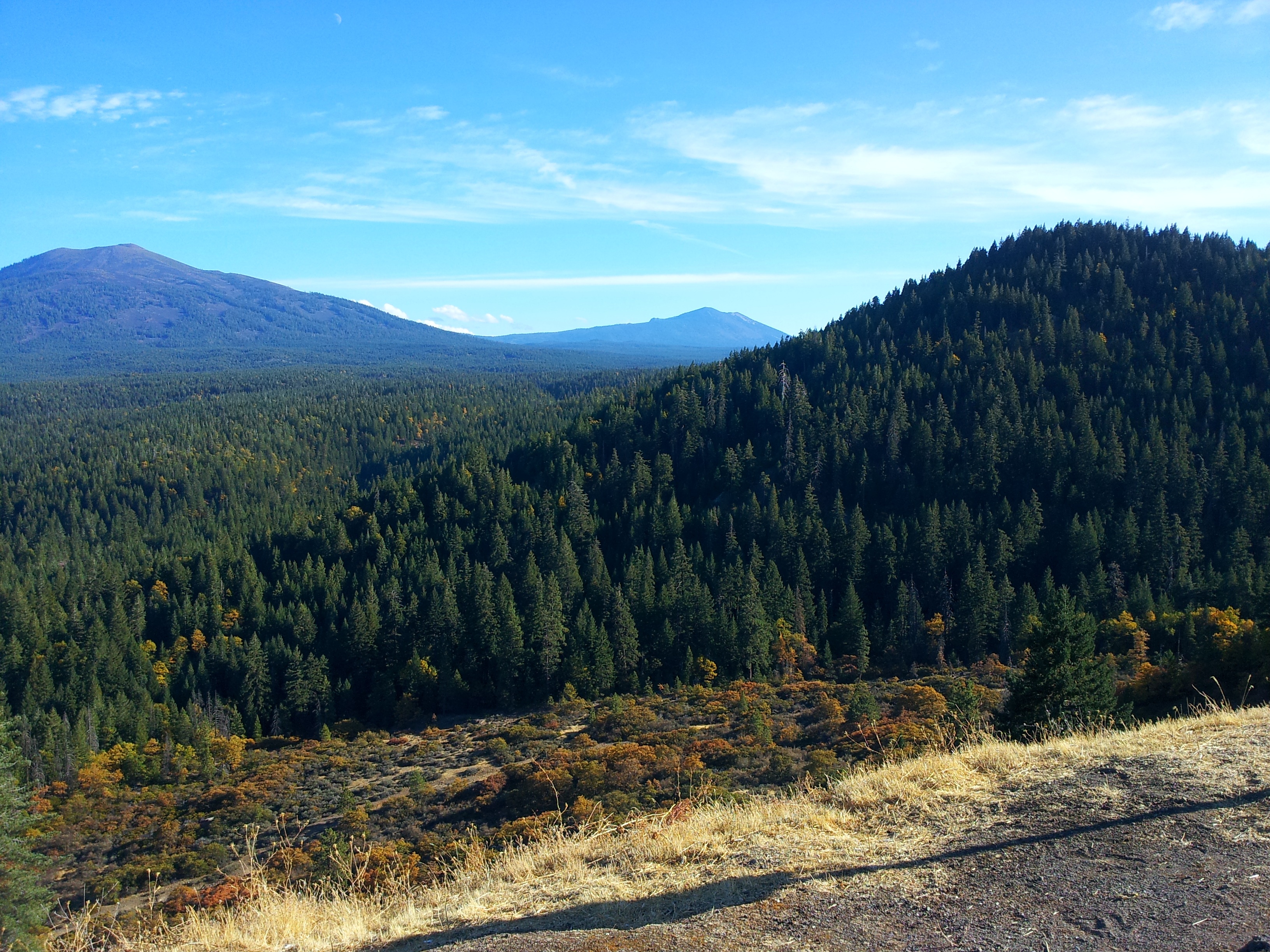 Handy-Wallpaper Mountains, Blick Von Oben, Natur, Bäume, Grass, Kalifornien kostenlos herunterladen.