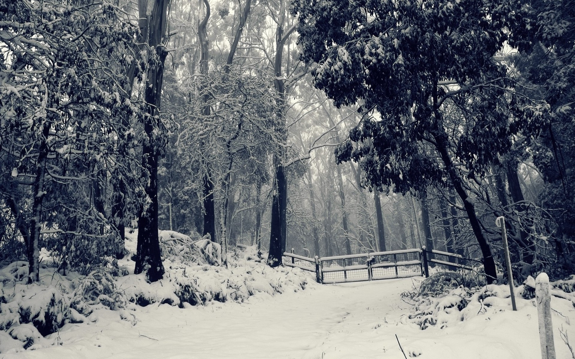 Скачать картинку Зима, Снег, Ландшафт, Фотографии в телефон бесплатно.