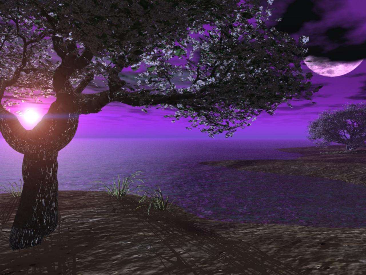 Download mobile wallpaper Landscape, Sunset, Moon, Tree, Ocean, Purple, Artistic for free.