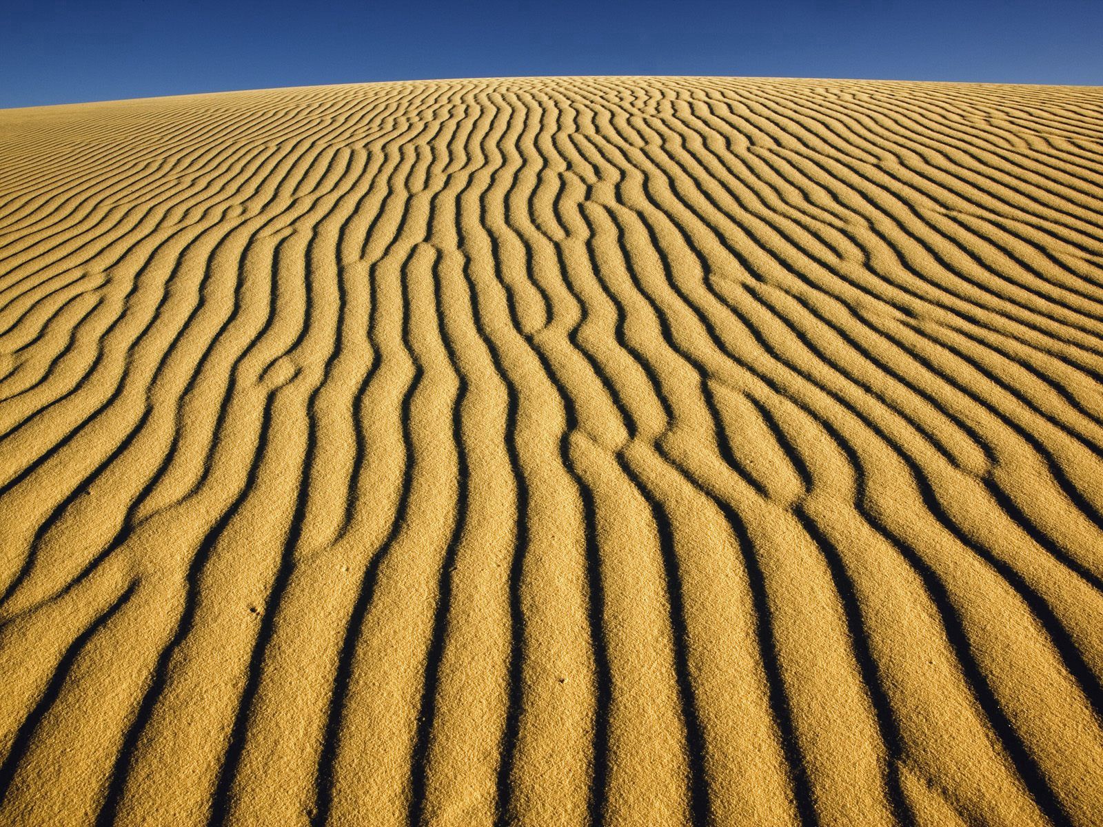 133887 télécharger le fond d'écran nature, sable, désert, patterns, lignes, rayures, stries, dunes, liens - économiseurs d'écran et images gratuitement