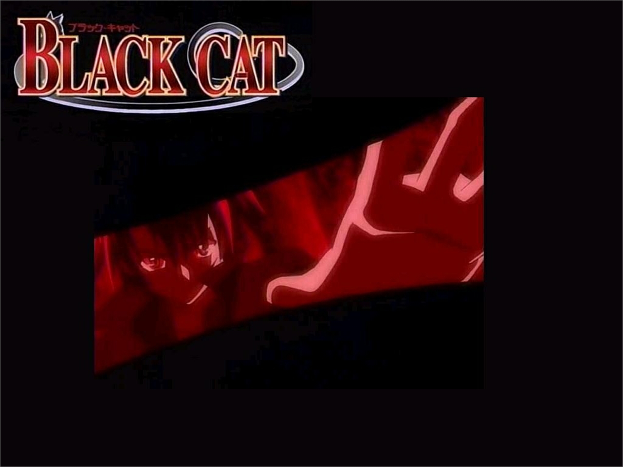 Baixe gratuitamente a imagem Anime, O Gato Preto na área de trabalho do seu PC