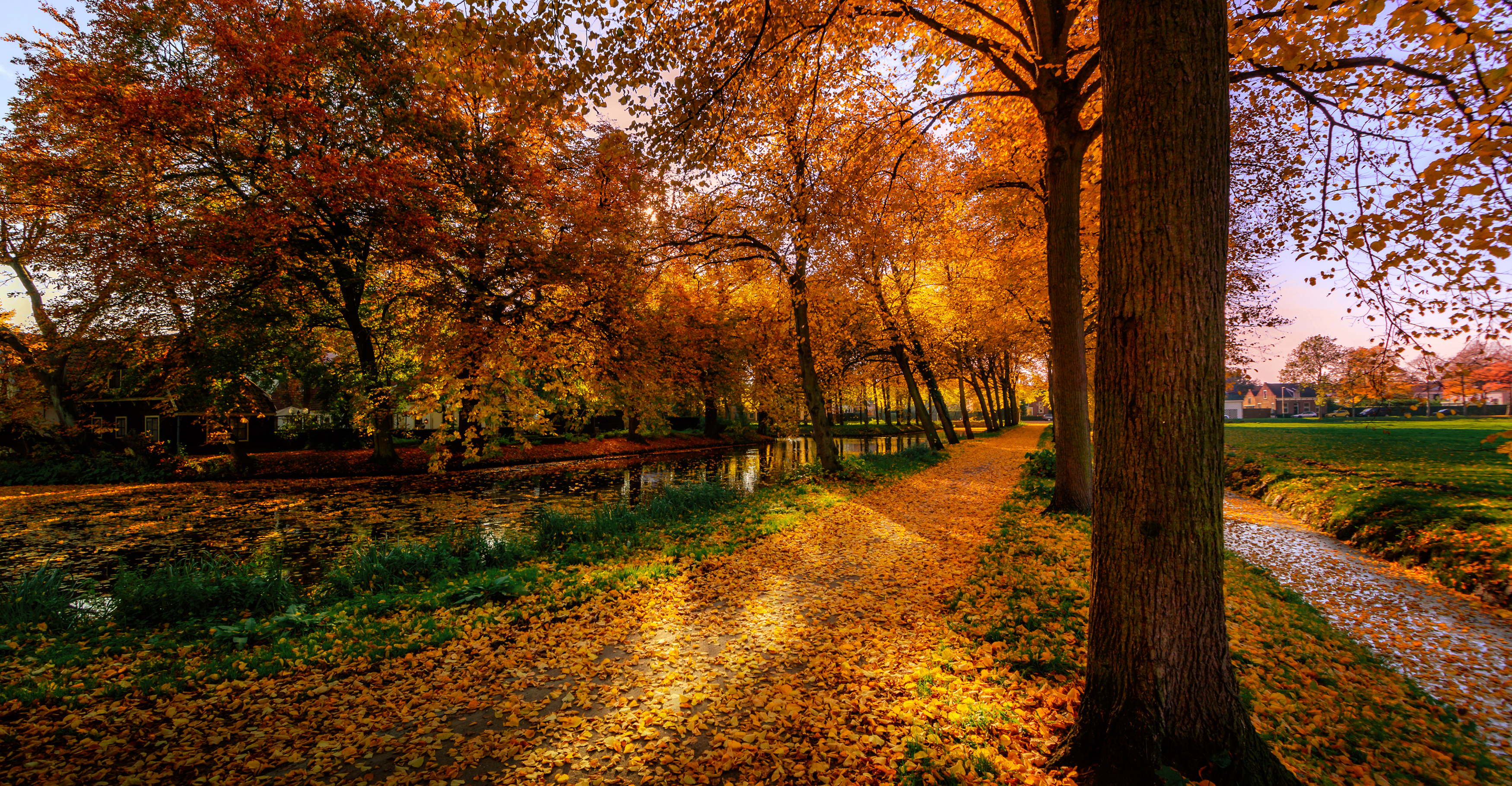 Descarga gratuita de fondo de pantalla para móvil de Otoño, Rio, Árbol, Tierra, Fotografía, Carretera.