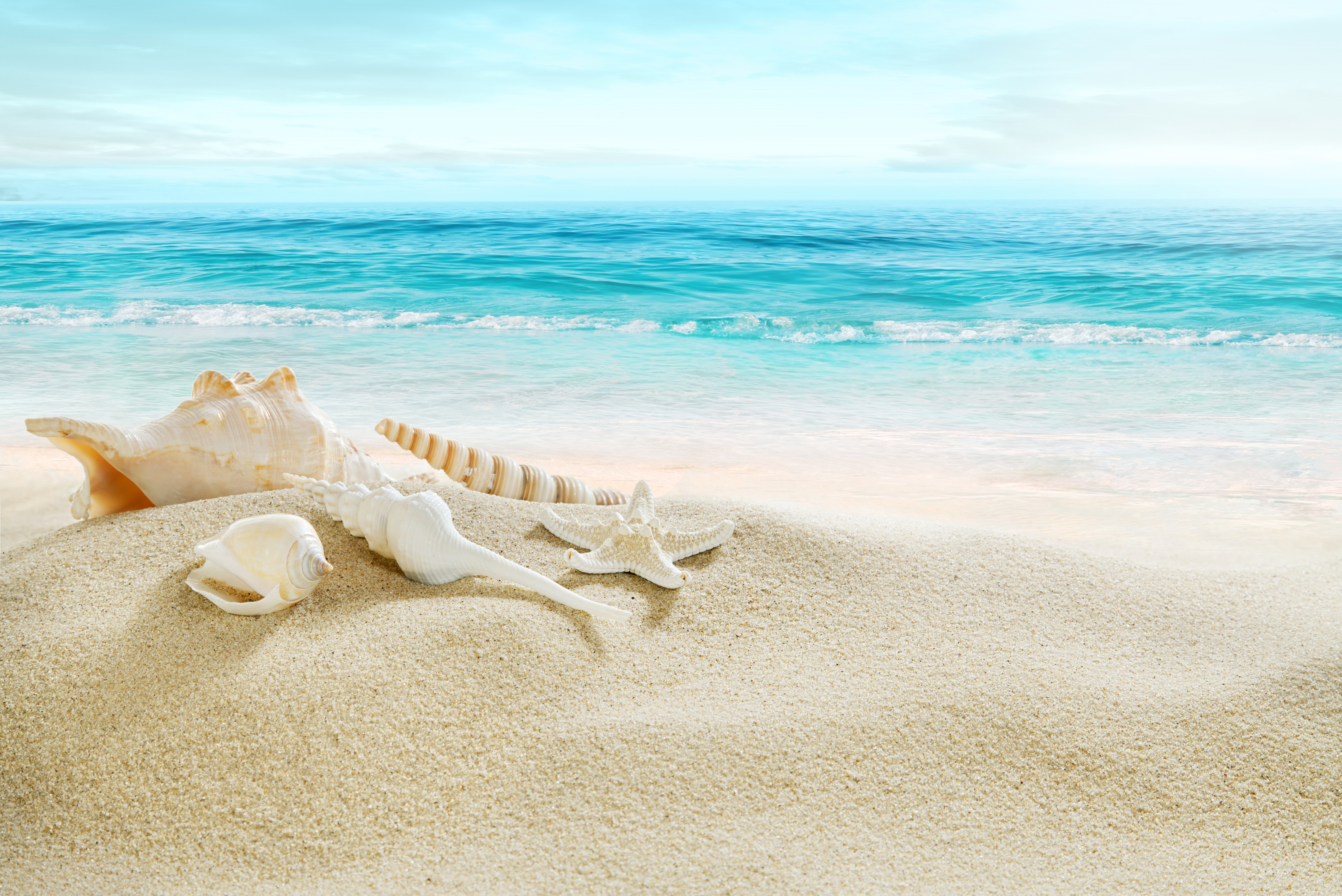Free download wallpaper Nature, Beach, Sand, Horizon, Ocean, Earth, Shell on your PC desktop