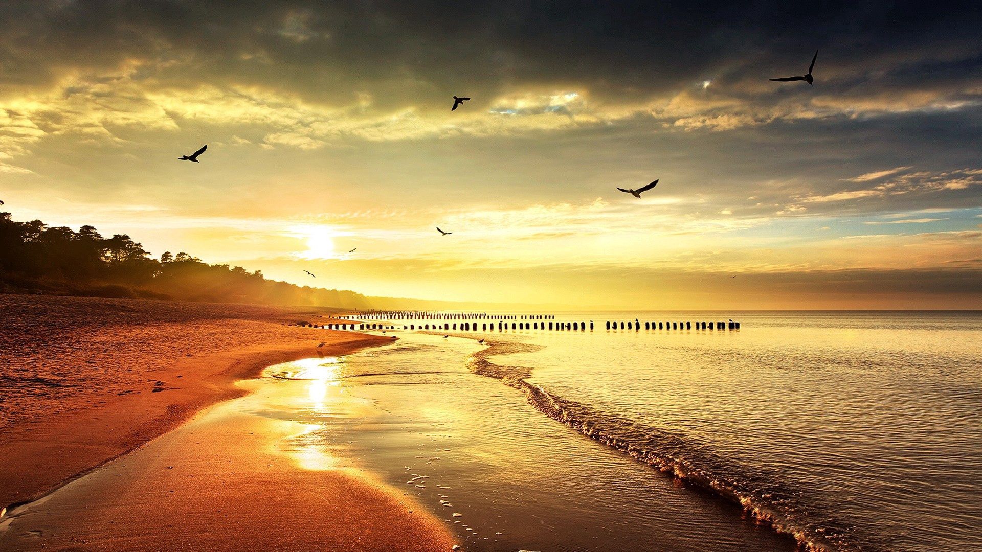 Free download wallpaper Bank, Shore, Shine, Birds, Light, Sea, Nature on your PC desktop