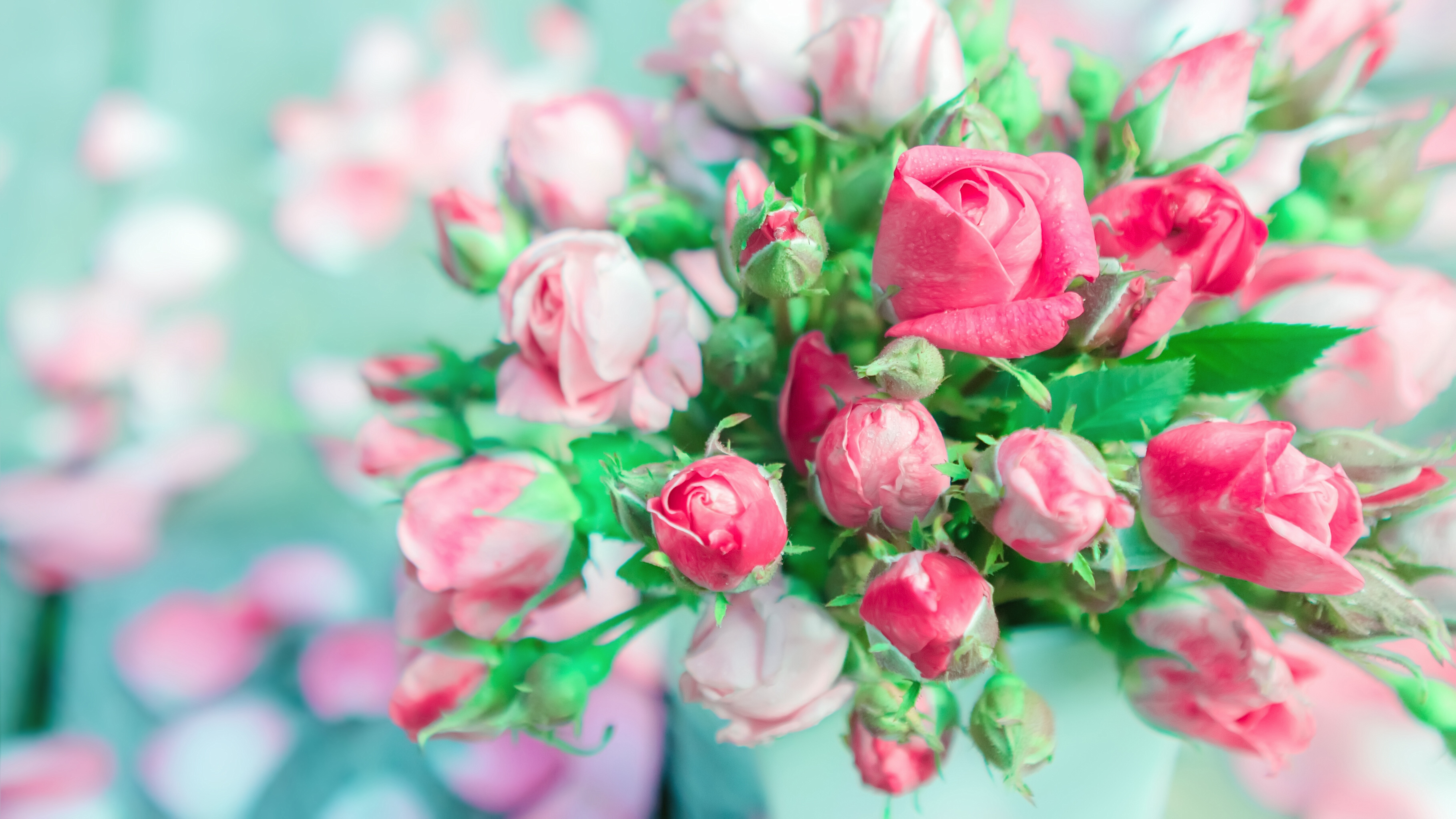 Завантажити шпалери безкоштовно Квітка, Роза, Букет, Земля, Рожева Квітка, Буд, Флауерзи картинка на робочий стіл ПК