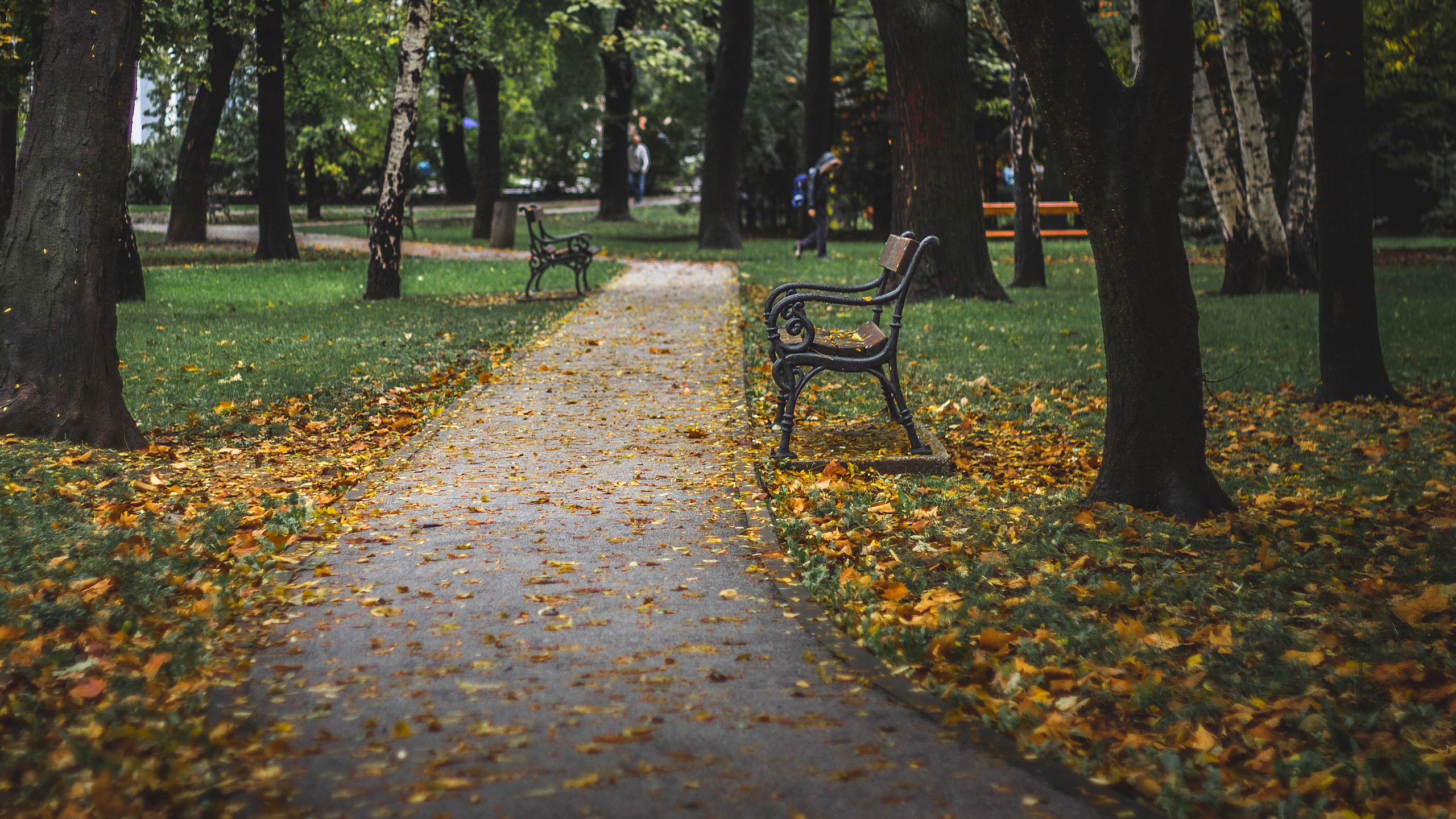 Download mobile wallpaper Nature, Park, Leaf, Fall, Bench, Street, Photography for free.
