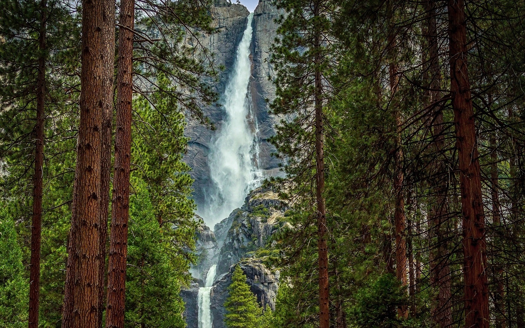 PCデスクトップに自然, 滝, 森, 地球画像を無料でダウンロード