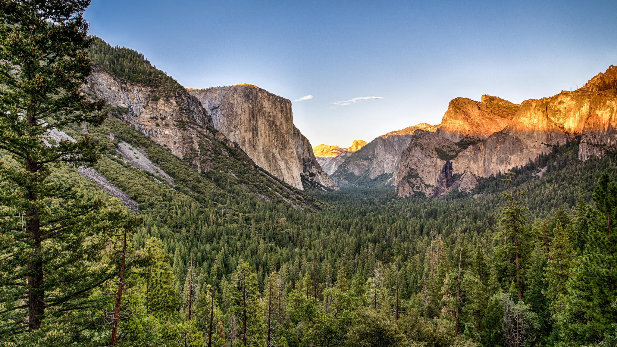 Скачать картинку Гора, Лес, Сша, Национальный Парк, Калифорния, Ландшафт, Йосемитский Национальный Парк, Земля/природа, Утёс в телефон бесплатно.