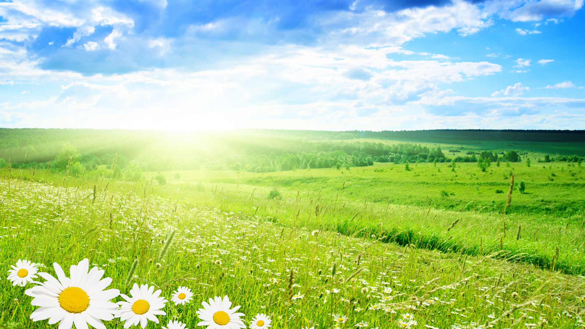 Free download wallpaper Earth, Spring on your PC desktop