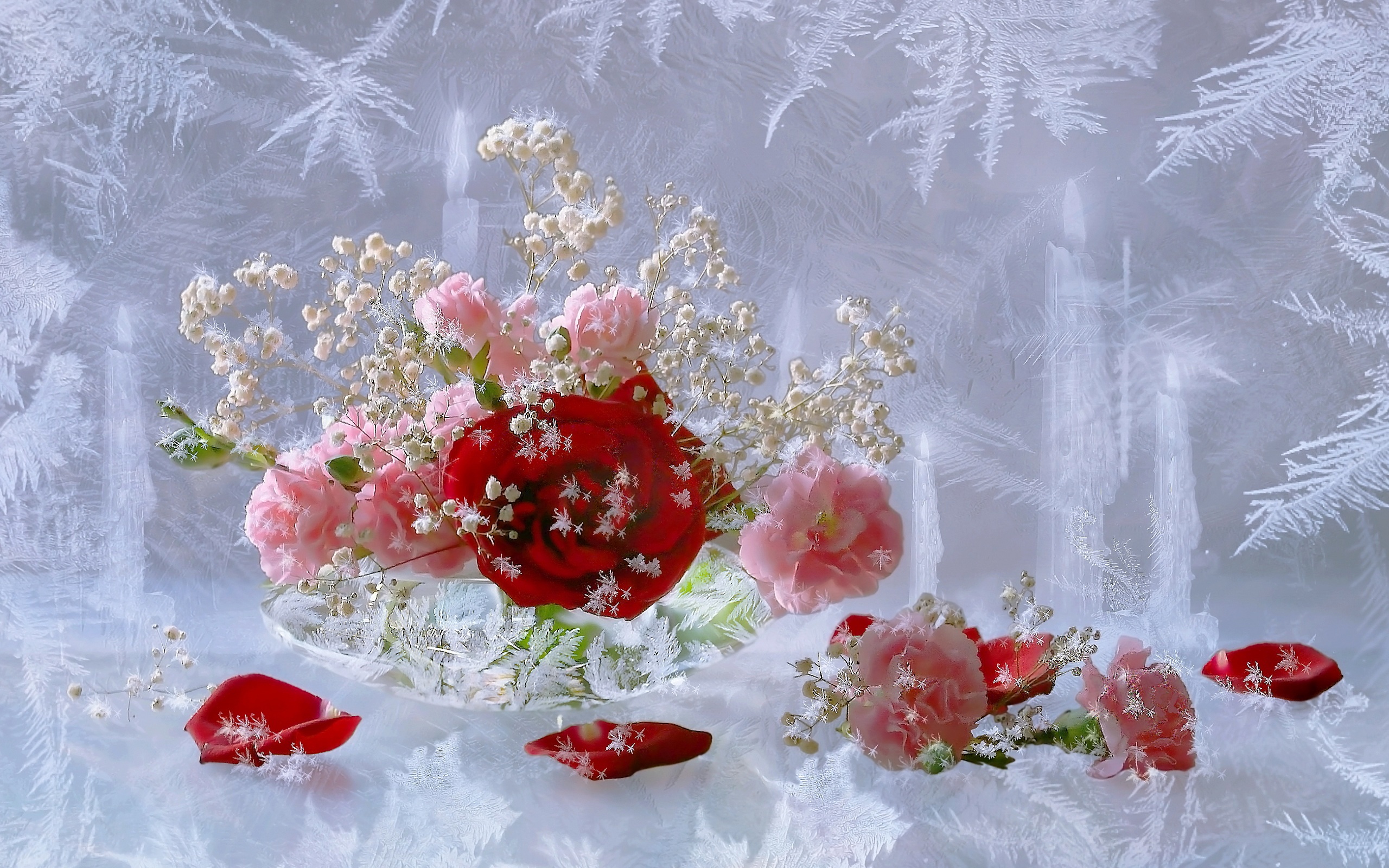 32408 завантажити шпалери рози, рослини, квіти, блакитний - заставки і картинки безкоштовно