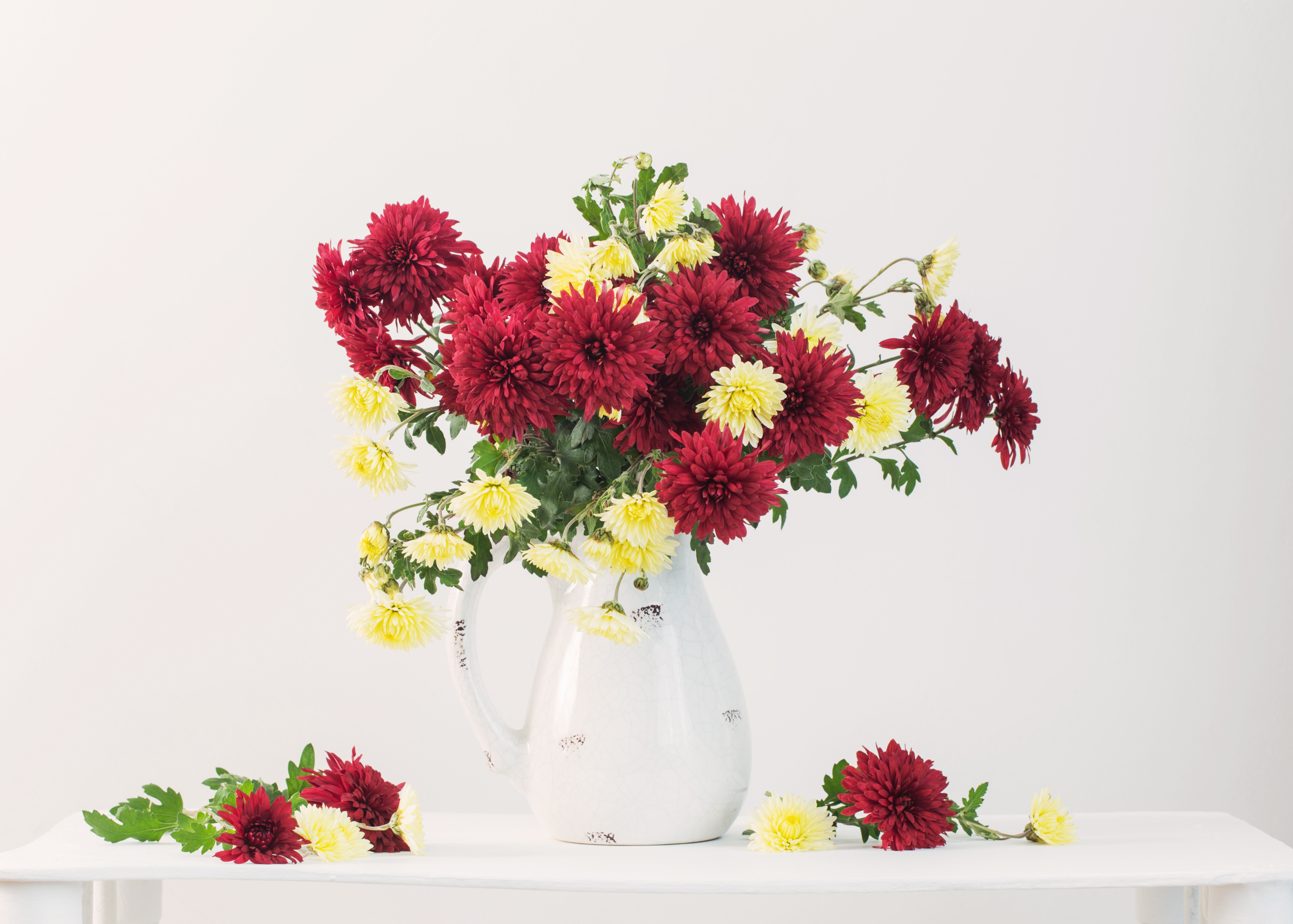 Download mobile wallpaper Chrysanthemum, Flower, Man Made for free.