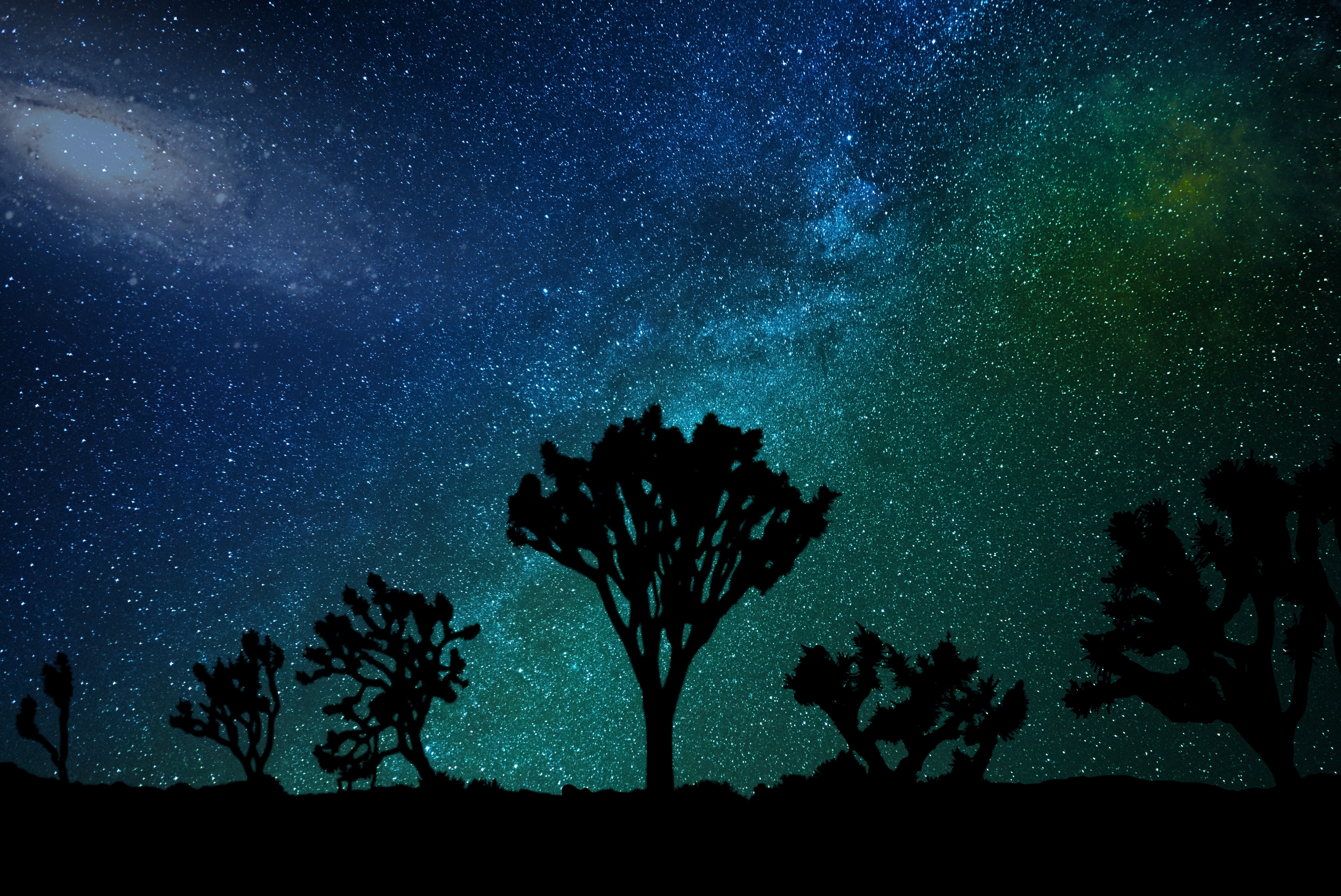 Descarga gratis la imagen Cielo Estrellado, Naturaleza, Árbol De Joshua, Árbol De Josué, Vía Láctea en el escritorio de tu PC