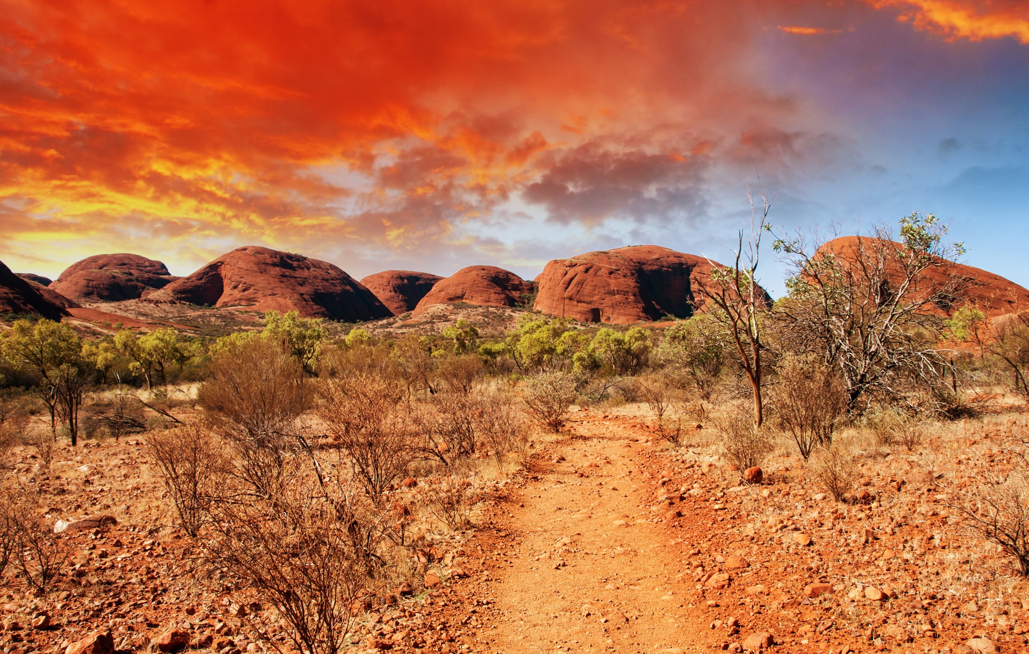 Скачать обои бесплатно Пустыня, Австралия, Земля/природа картинка на рабочий стол ПК