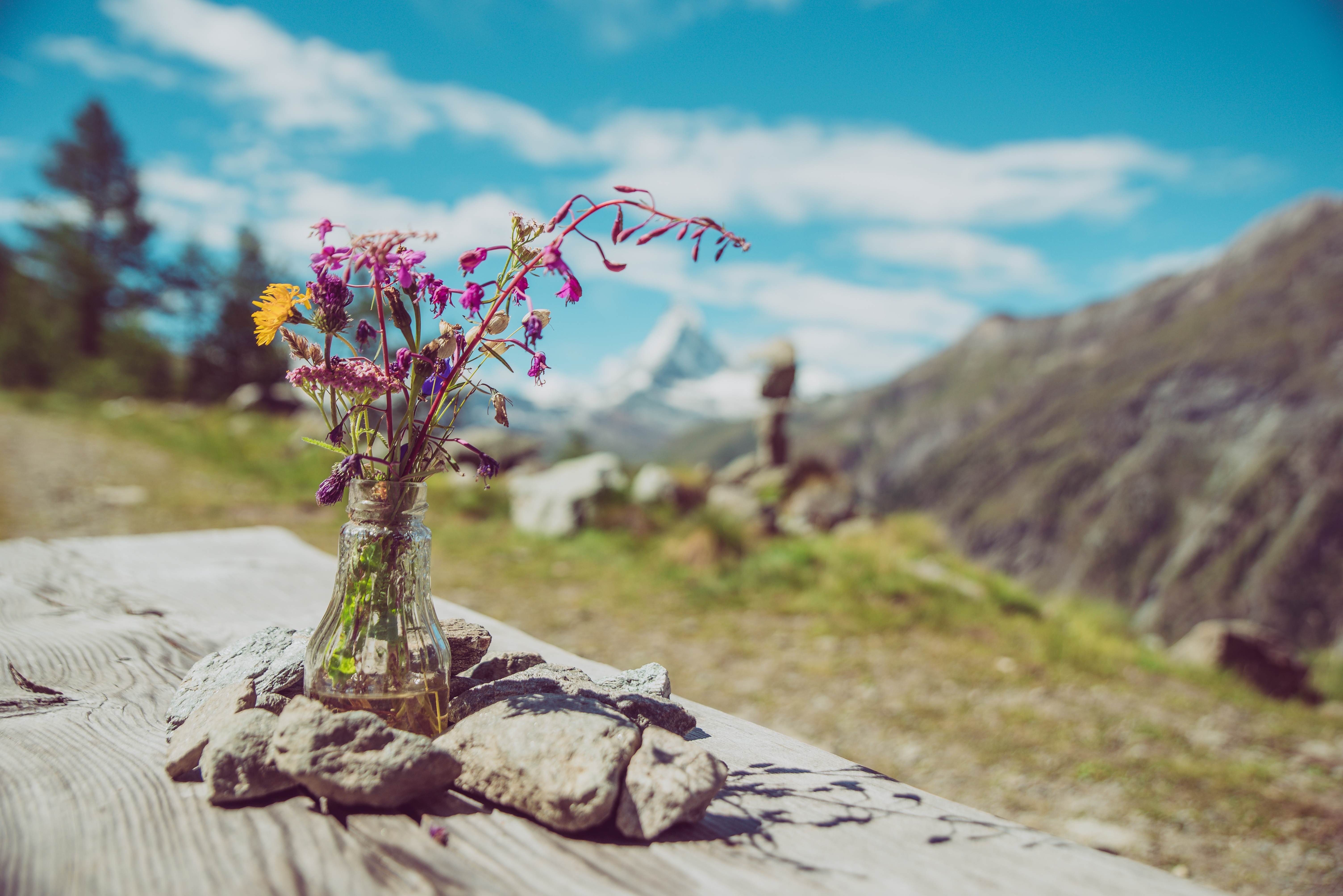 Laden Sie das Natur, Stones, Strauß, Vase, Bouquet, Blumen-Bild kostenlos auf Ihren PC-Desktop herunter