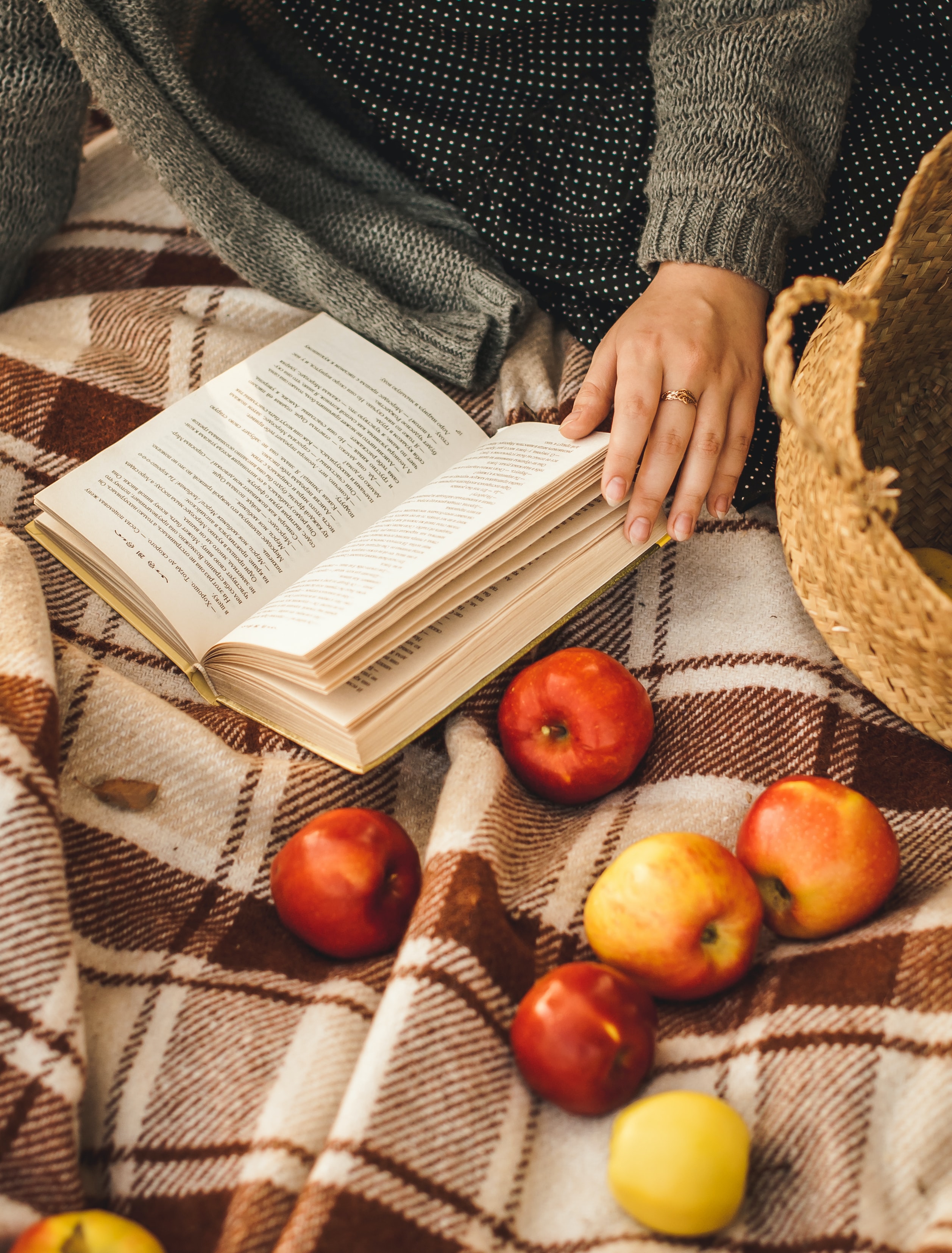 relaxation, apples, hand, miscellanea, miscellaneous, rest, book, plaid