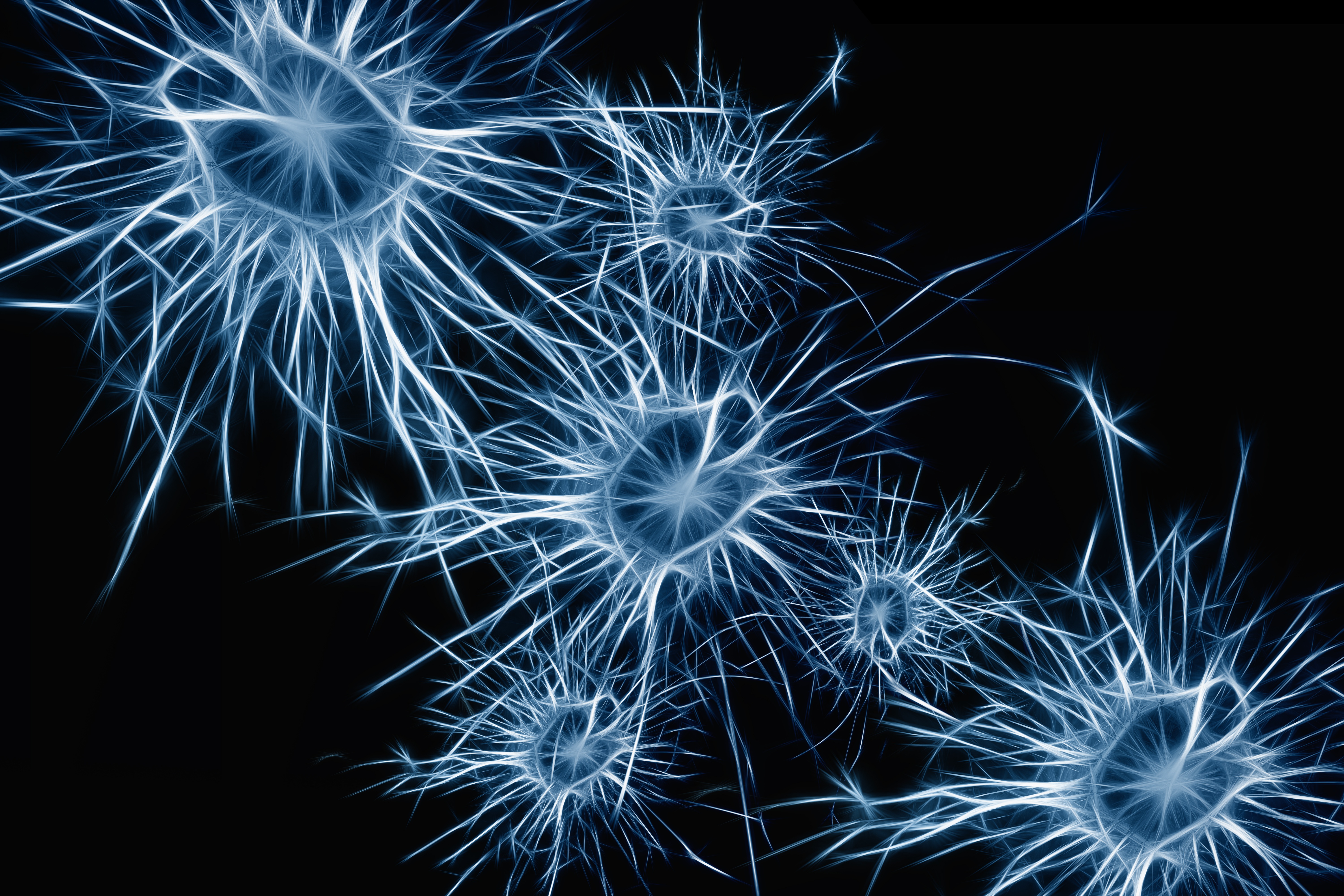 structure, abstract, cells, neurons