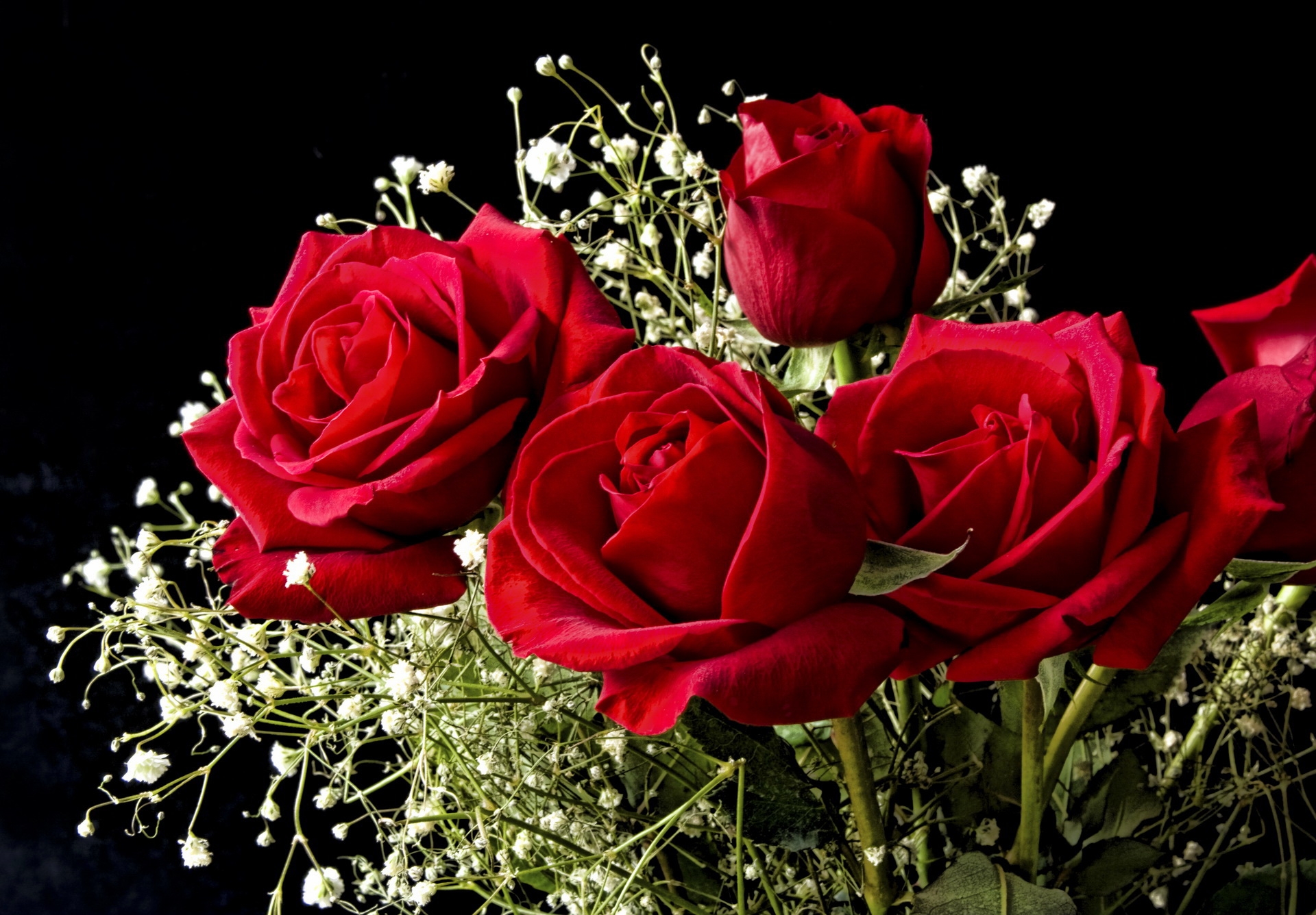 140390 скачать обои гипсофил, розы, фон, букет, цветы - заставки и картинки бесплатно