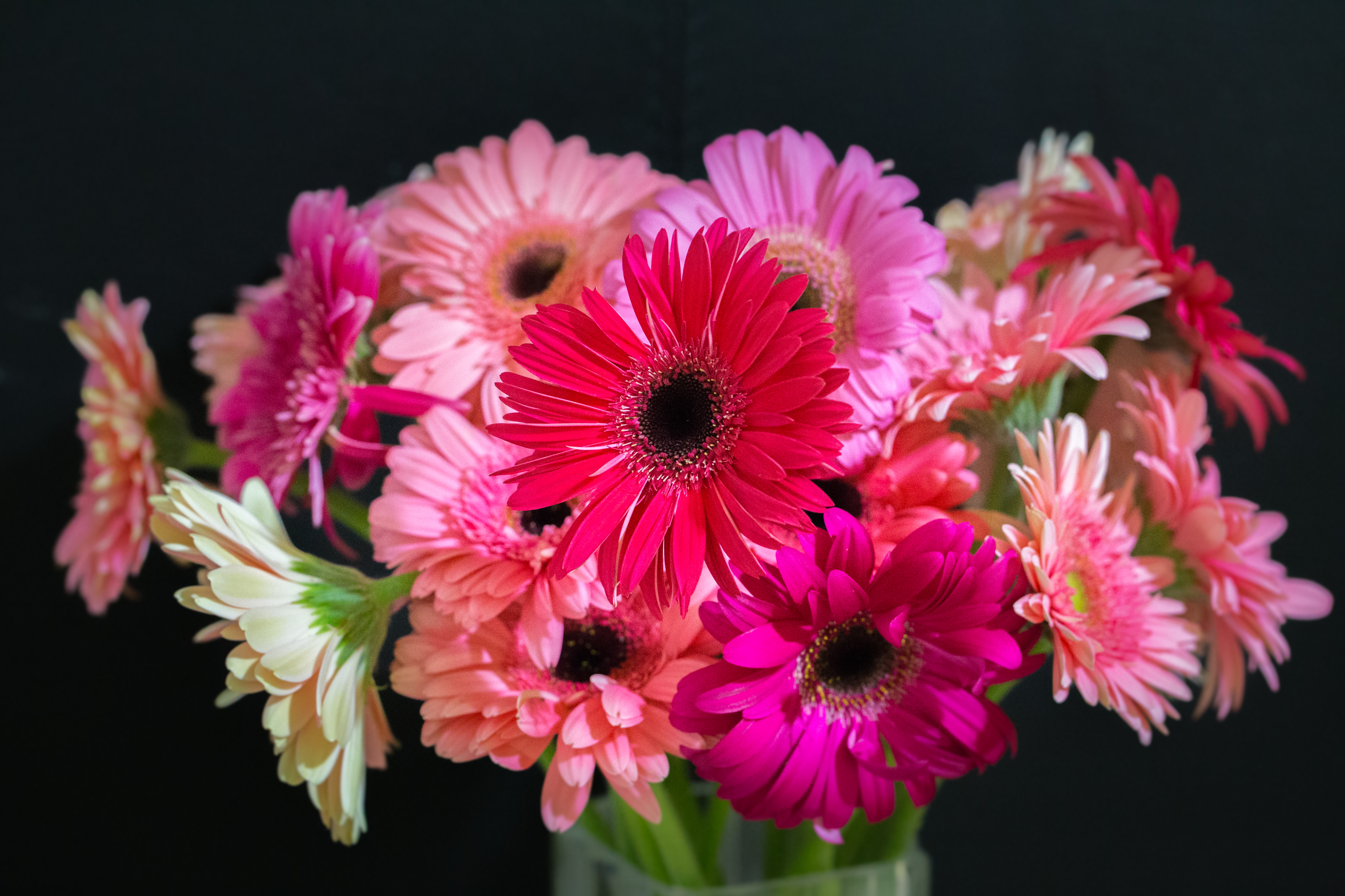 Téléchargez gratuitement l'image Fleur, Bouquet, Vase, Gerbera, Construction Humaine, Fleur Rose sur le bureau de votre PC
