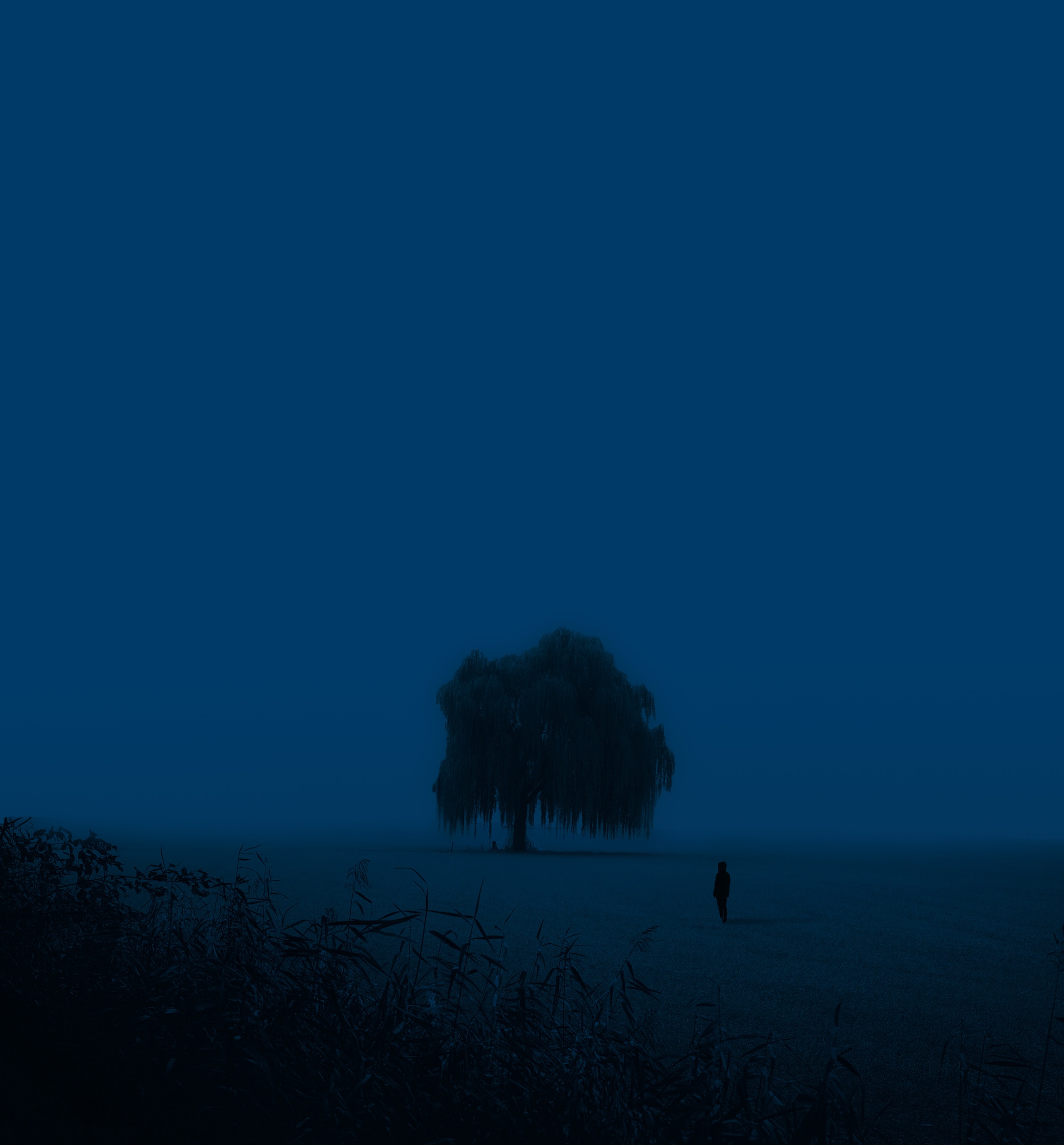 Download mobile wallpaper Miscellaneous, Wood, Tree, Dusk, Miscellanea, Twilight, Person, Human, Silhouette, Loneliness for free.