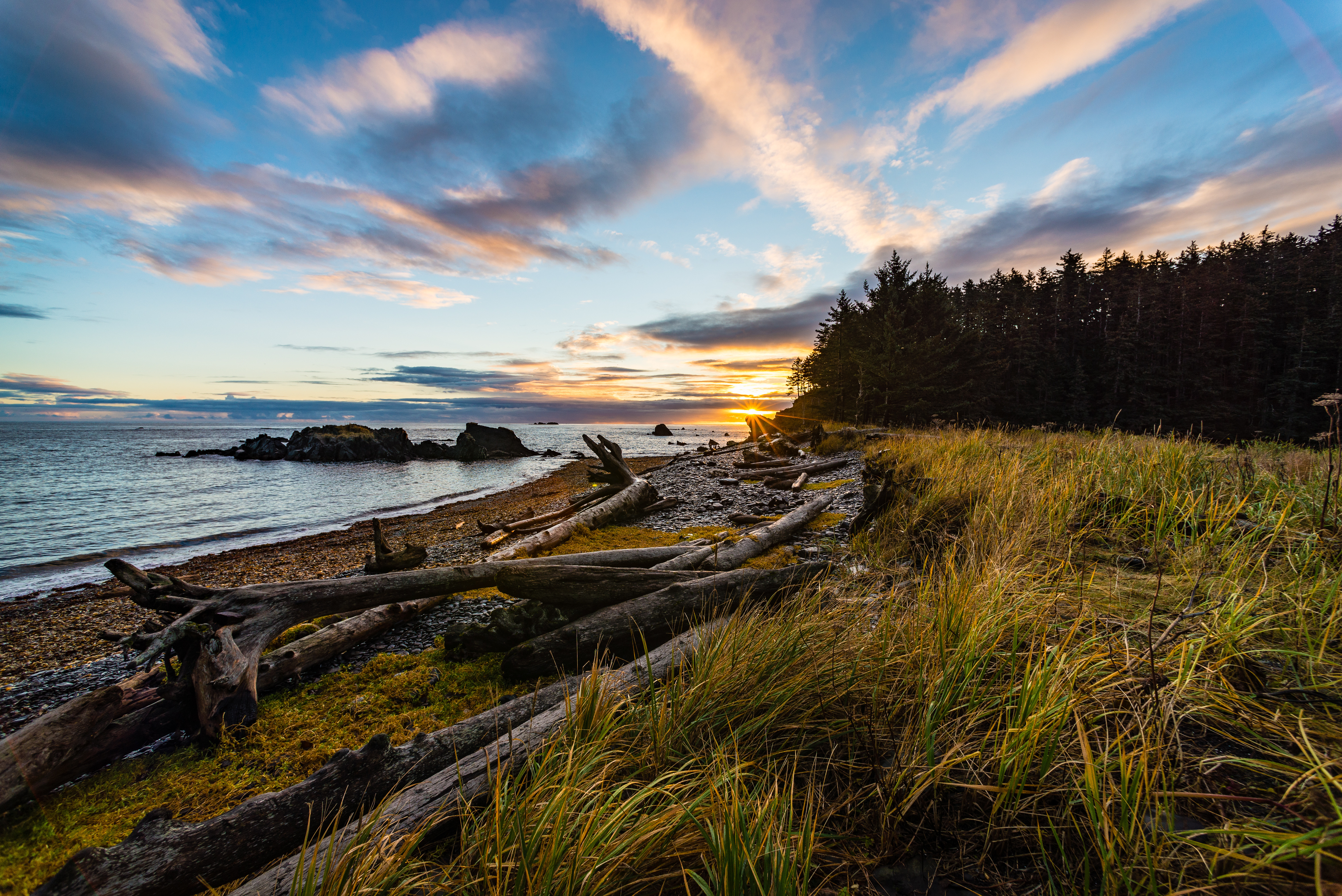 Laden Sie das Natur, Grass, Küste, Wald, Abend, Sunset-Bild kostenlos auf Ihren PC-Desktop herunter