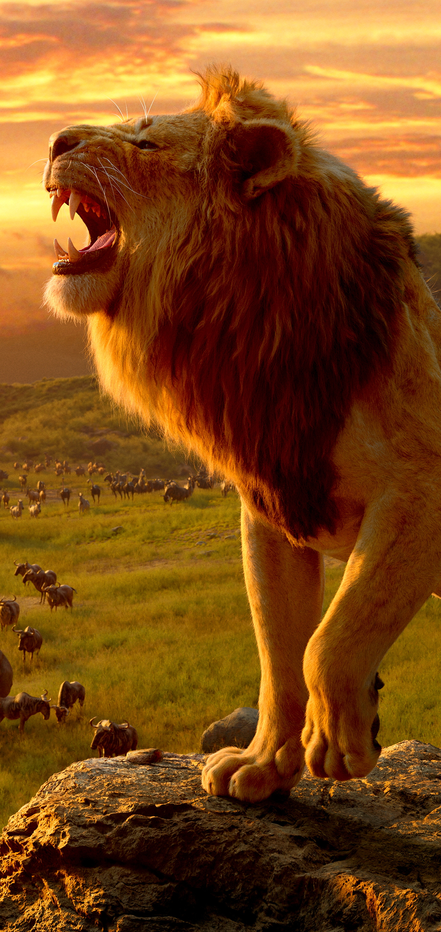 lion, the lion king (2019), movie