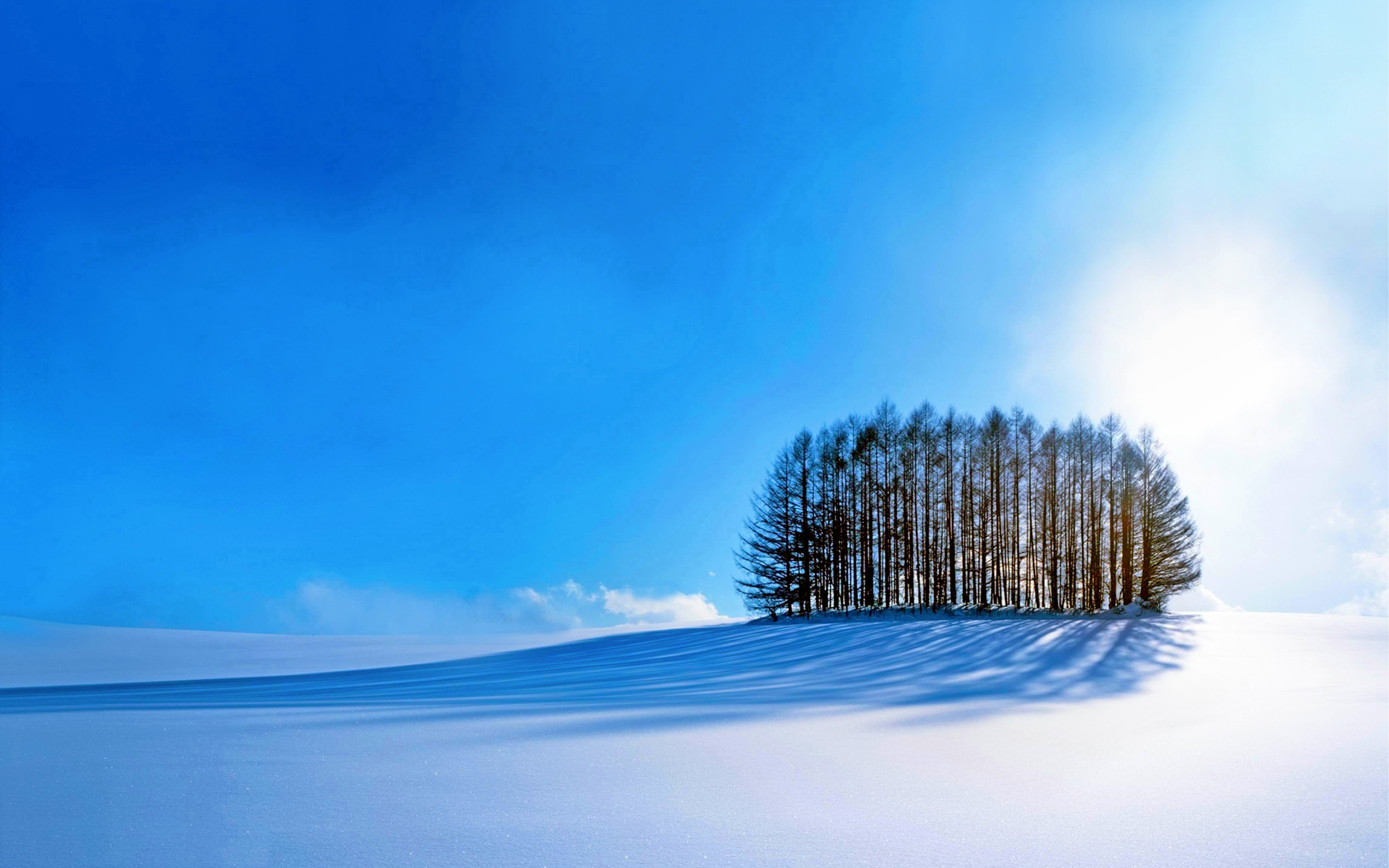 Скачать картинку Зима, Природа, Небо, Снег, Дерево, Синий, Белый, Солнечно, Земля/природа в телефон бесплатно.