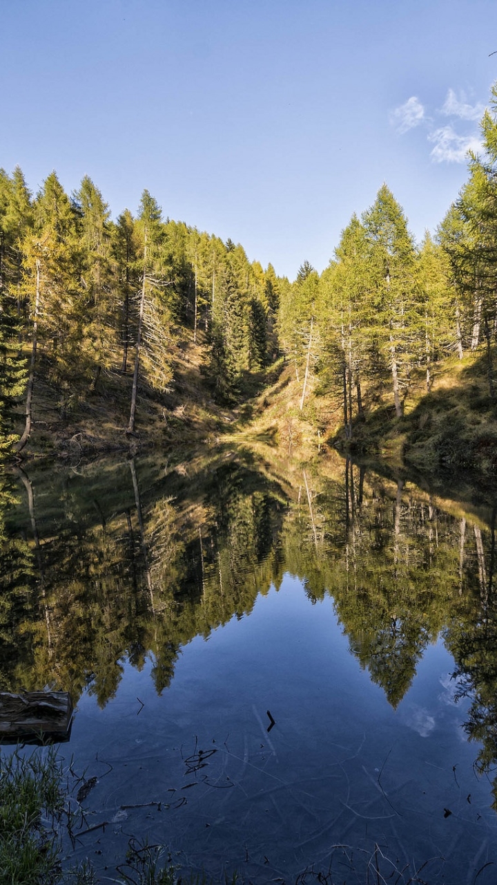 Descarga gratuita de fondo de pantalla para móvil de Naturaleza, Lagos, Lago, Reflexión, Bosque, Árbol, Tierra/naturaleza, Reflejo.