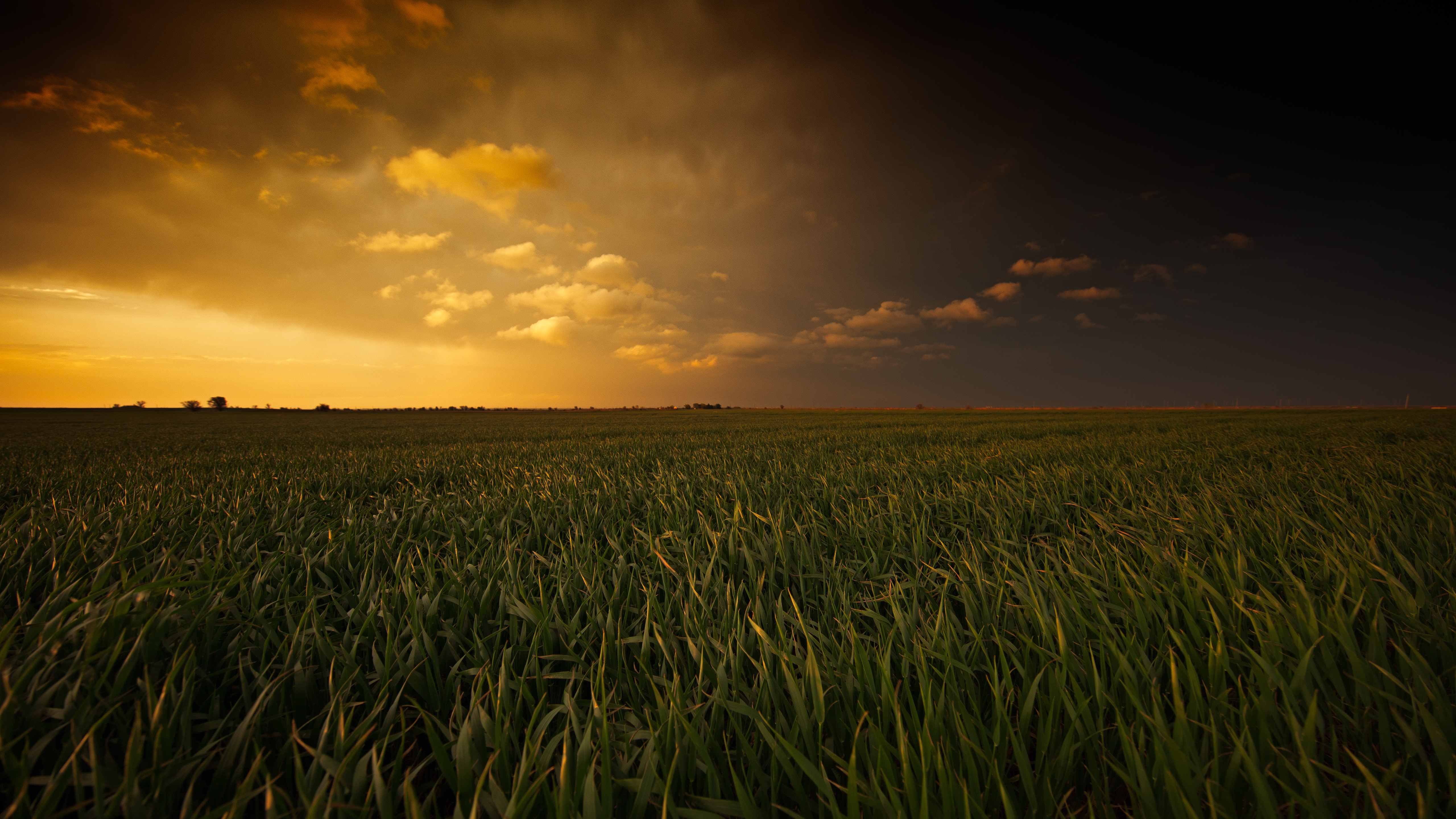 Download mobile wallpaper Sunset, Sky, Earth, Field for free.