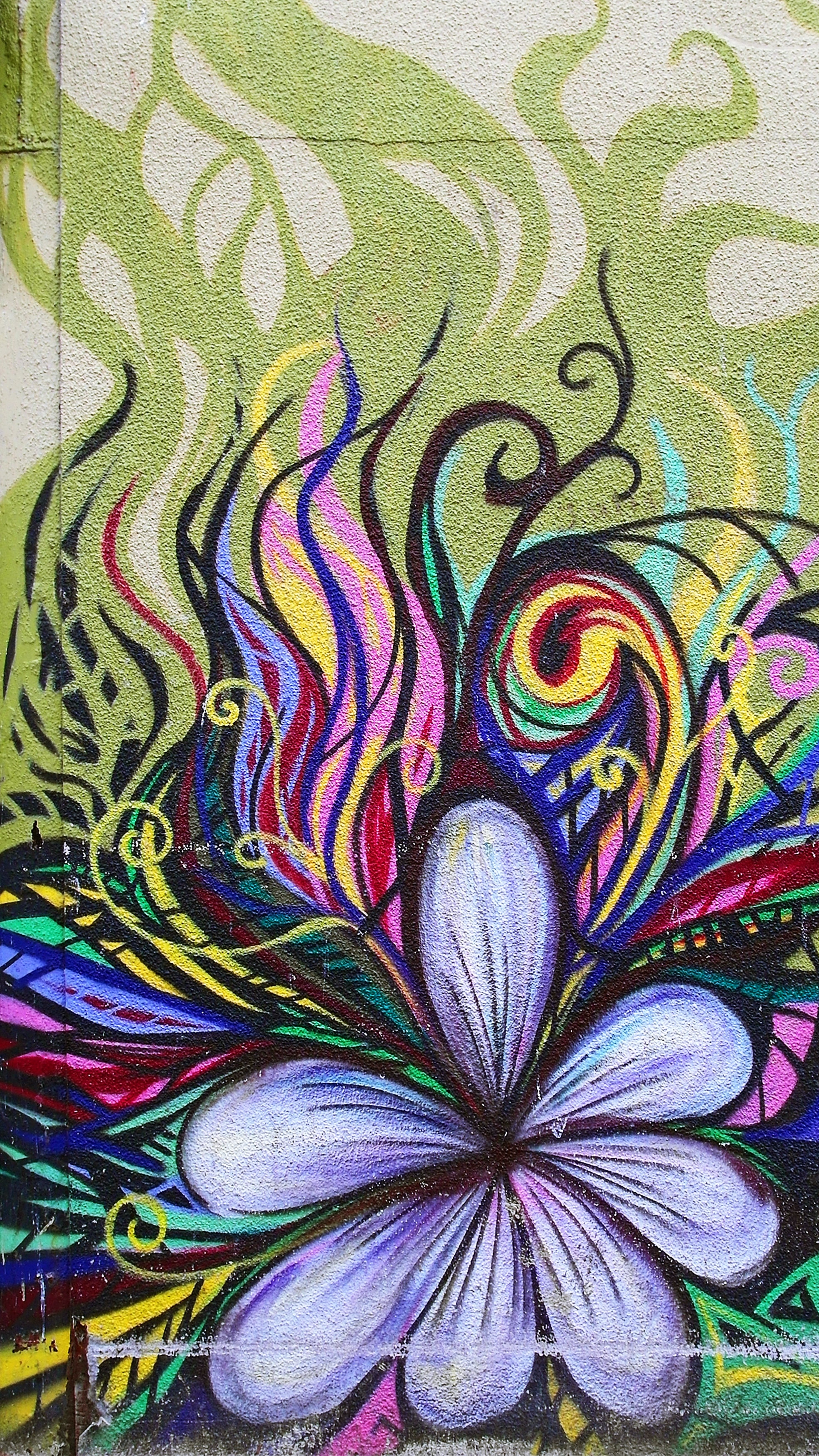 flower, texture, textures, wall, graffiti, mural