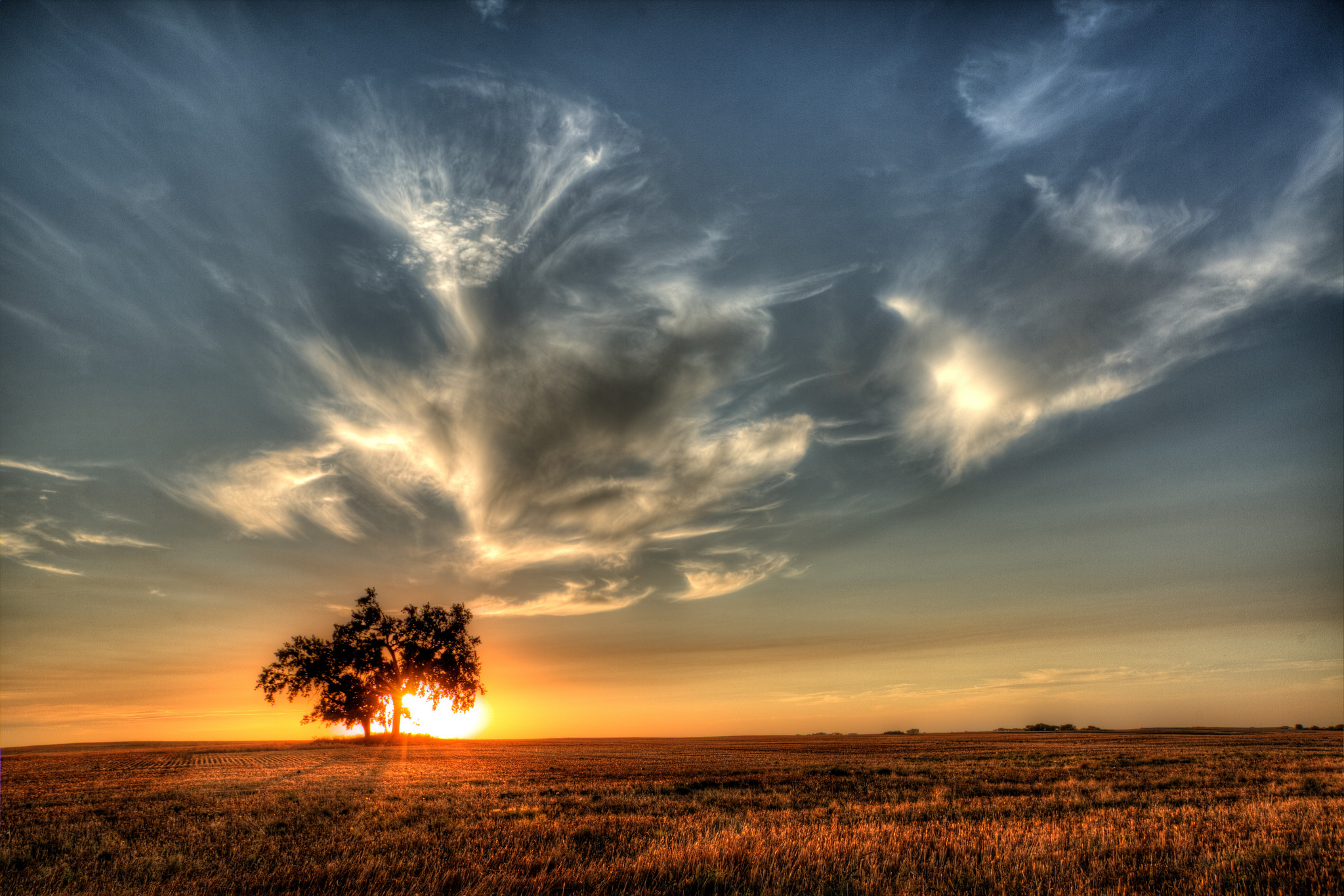 Download mobile wallpaper Nature, Sky, Horizon, Tree, Sunrise, Earth, Field for free.