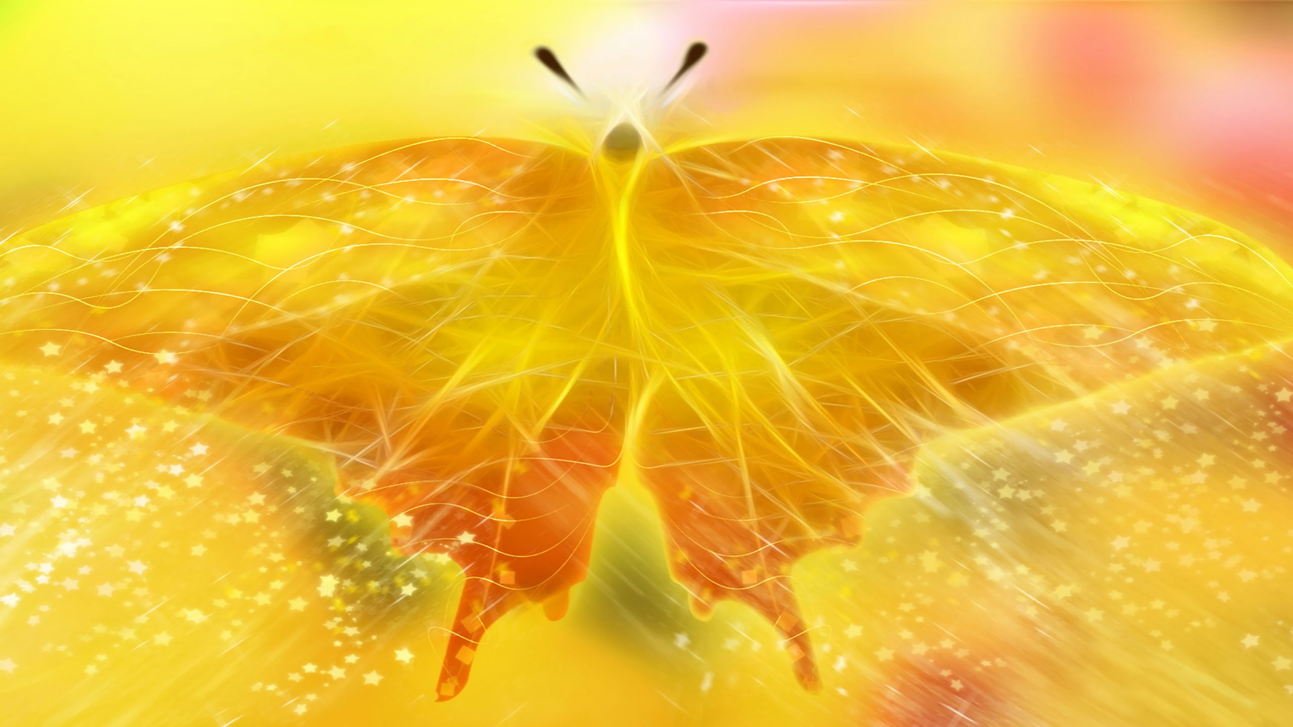 無料モバイル壁紙蝶, 輝き, 黄色, 芸術的をダウンロードします。
