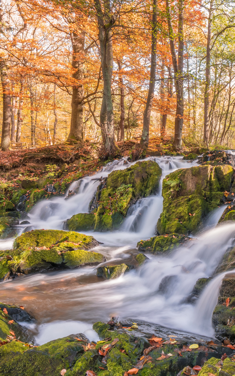 Handy-Wallpaper Herbst, Wasserfälle, Wasserfall, Erde, Moos, Erde/natur kostenlos herunterladen.