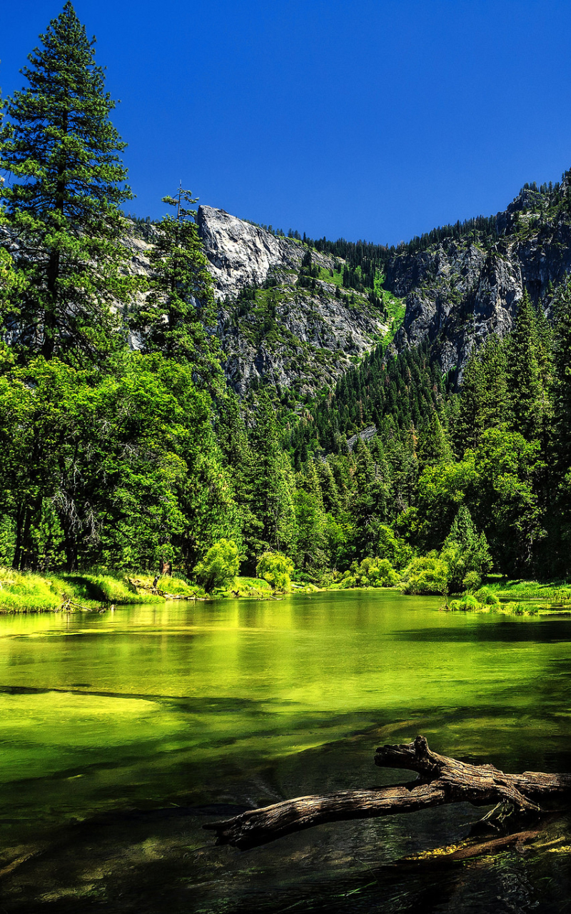 Baixar papel de parede para celular de Natureza, Montanha, Lago, Floresta, Califórnia, Parque Nacional, Parque Nacional De Yosemite, Terra/natureza gratuito.