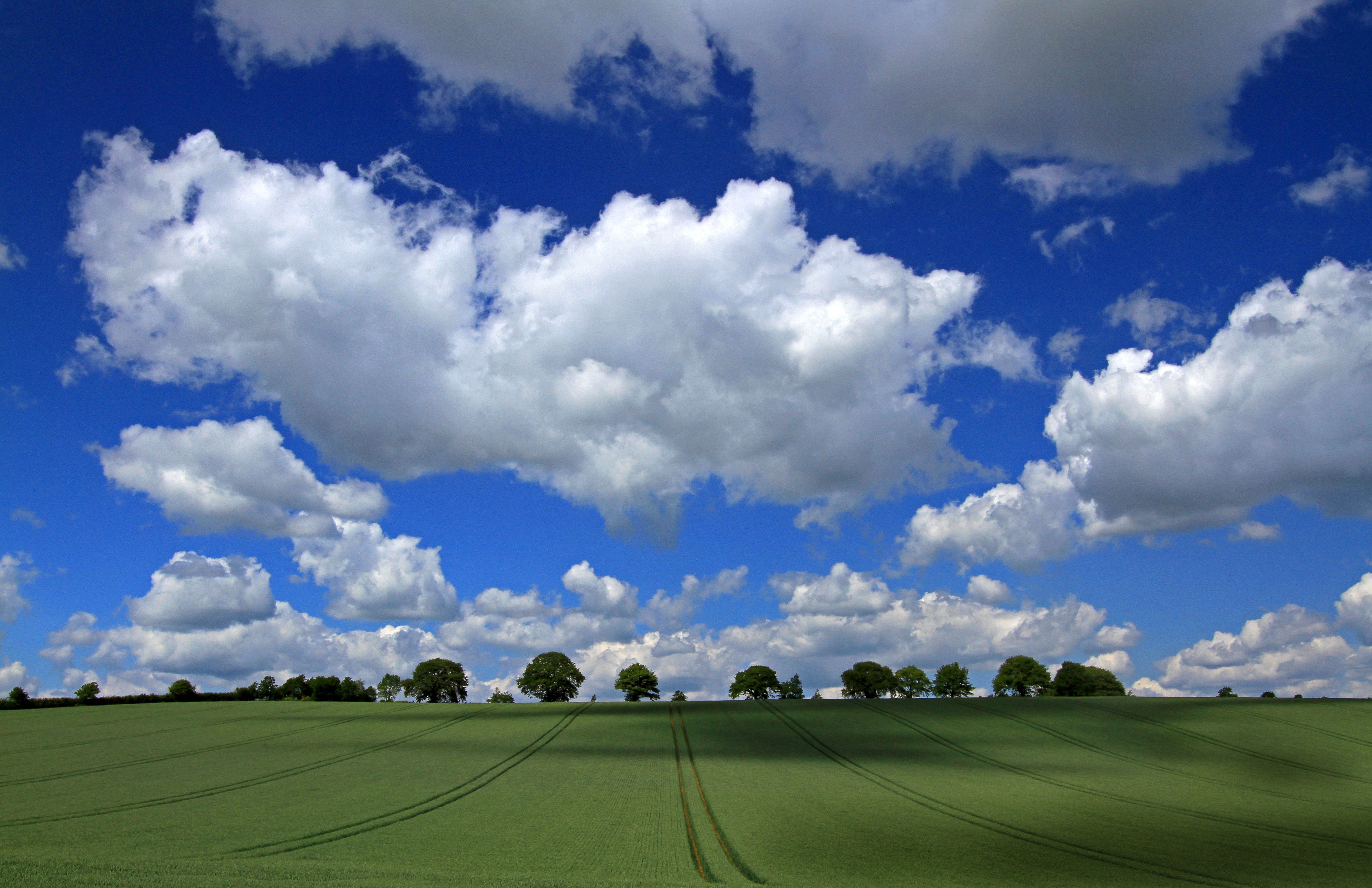 Download mobile wallpaper Sky, Tree, Earth, Field, Cloud for free.
