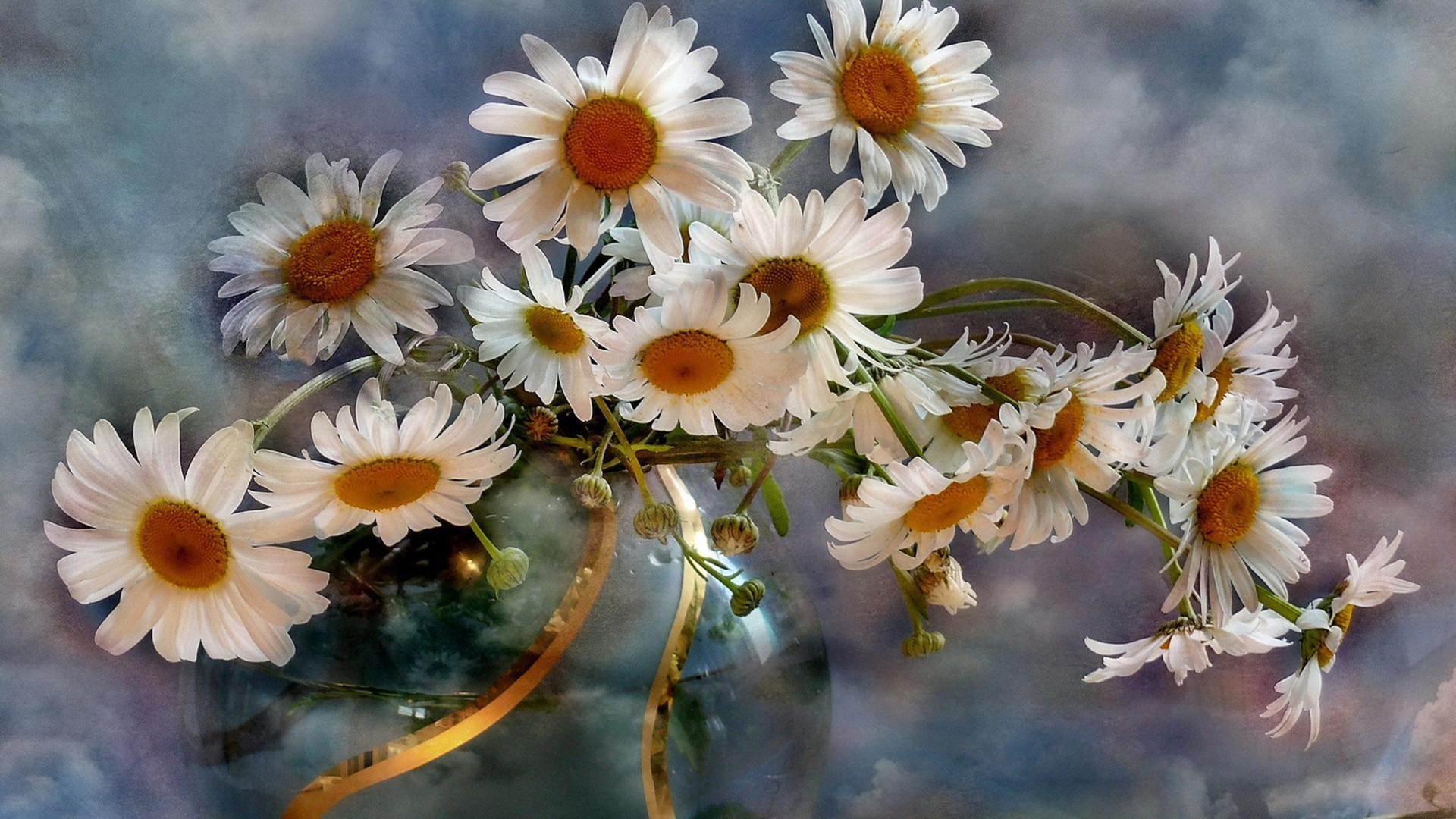Download mobile wallpaper Camomile, Flower, White Flower, Man Made for free.