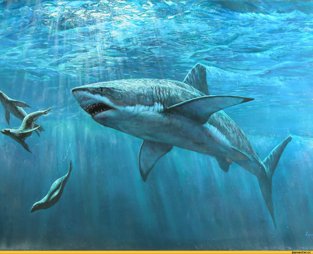 Descarga gratuita de fondo de pantalla para móvil de Tiburones, Mar, Animales, Peces.